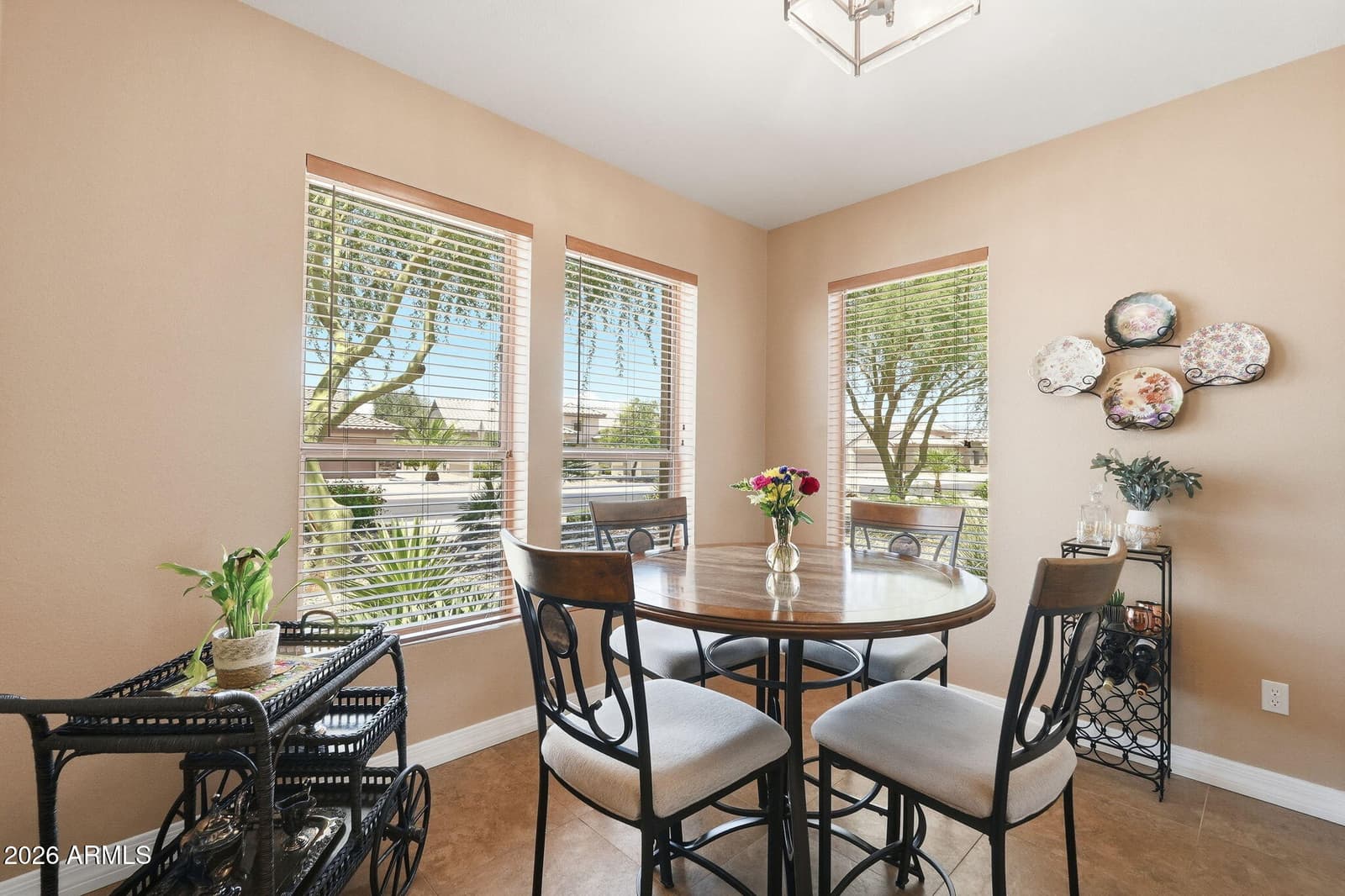 16525 W LAVA Drive, Surprise, AZ 85374 — photo 24 of 49
