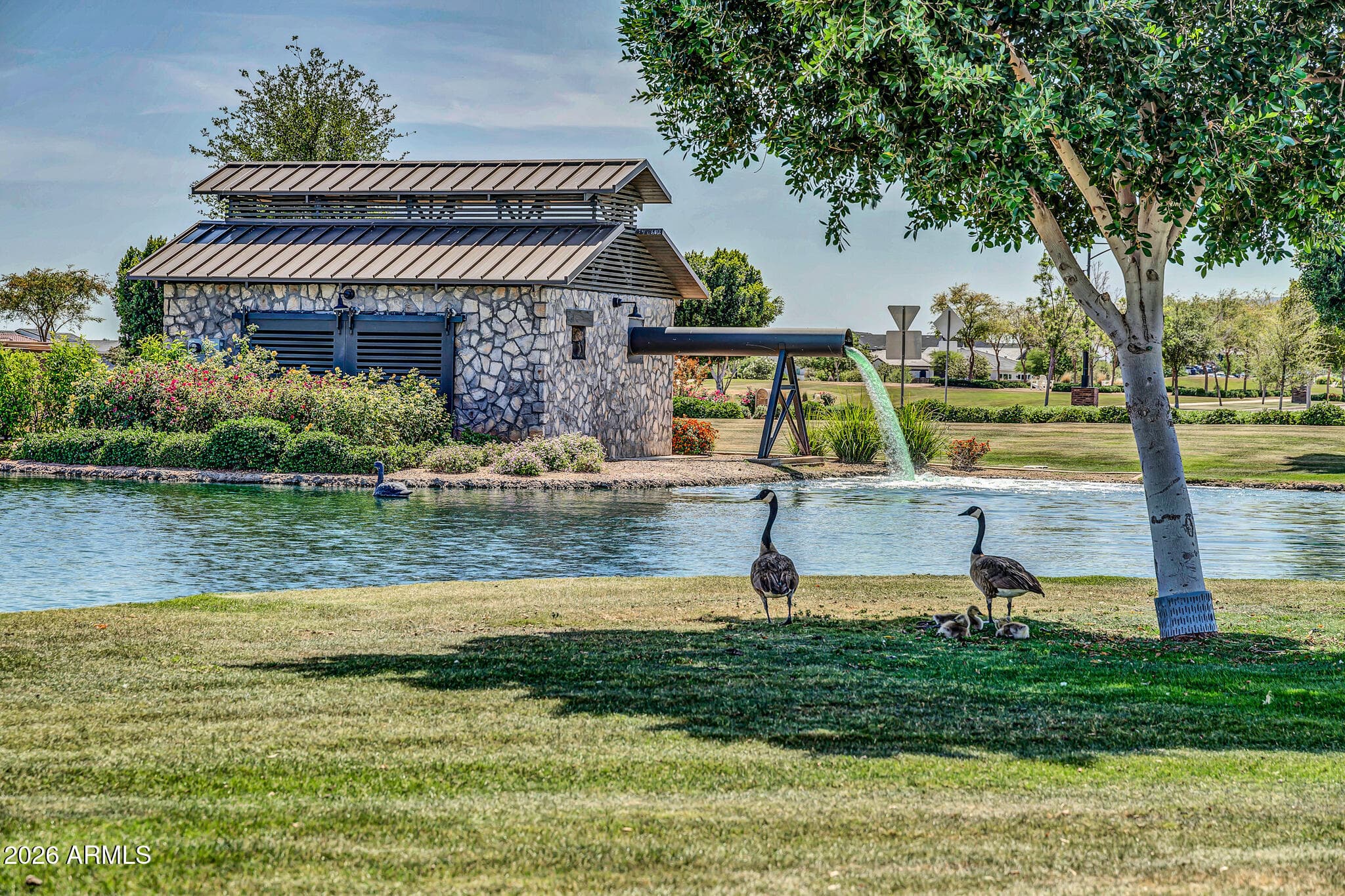 11873 N SAN CLEMENTE Street, Surprise, AZ 85388 — photo 47 of 55