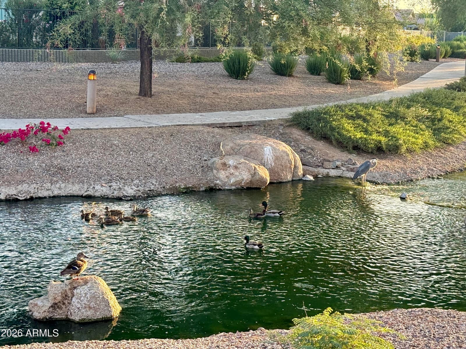 4601 S RENAISSANCE Drive 101, Gilbert, AZ 85297 — photo 22 of 25