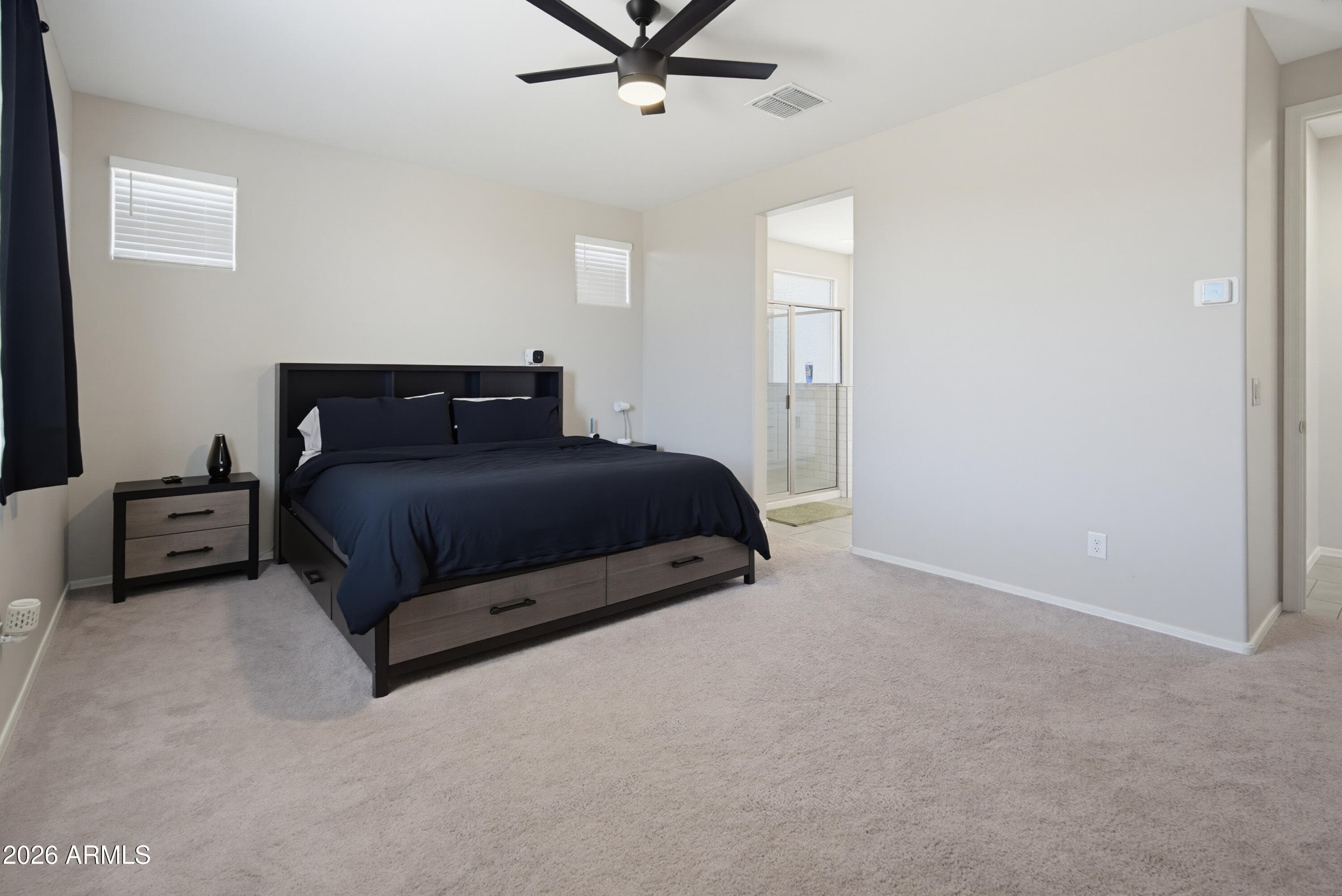 19341 W ANNIKA Drive, Litchfield Park, AZ 85340 — photo 19 of 37