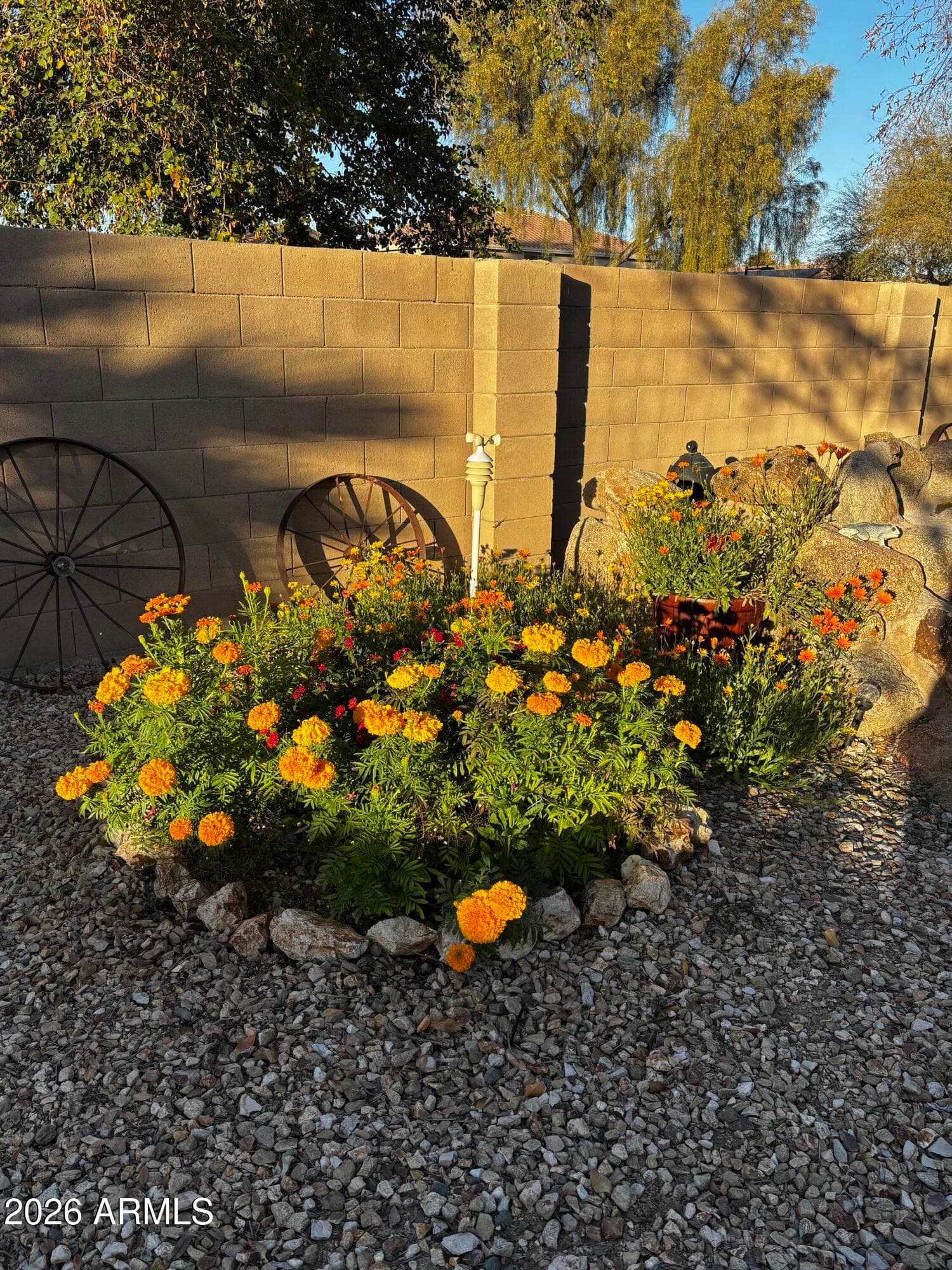 2770 E BUENA VISTA Drive, Chandler, AZ 85249 — photo 39 of 40