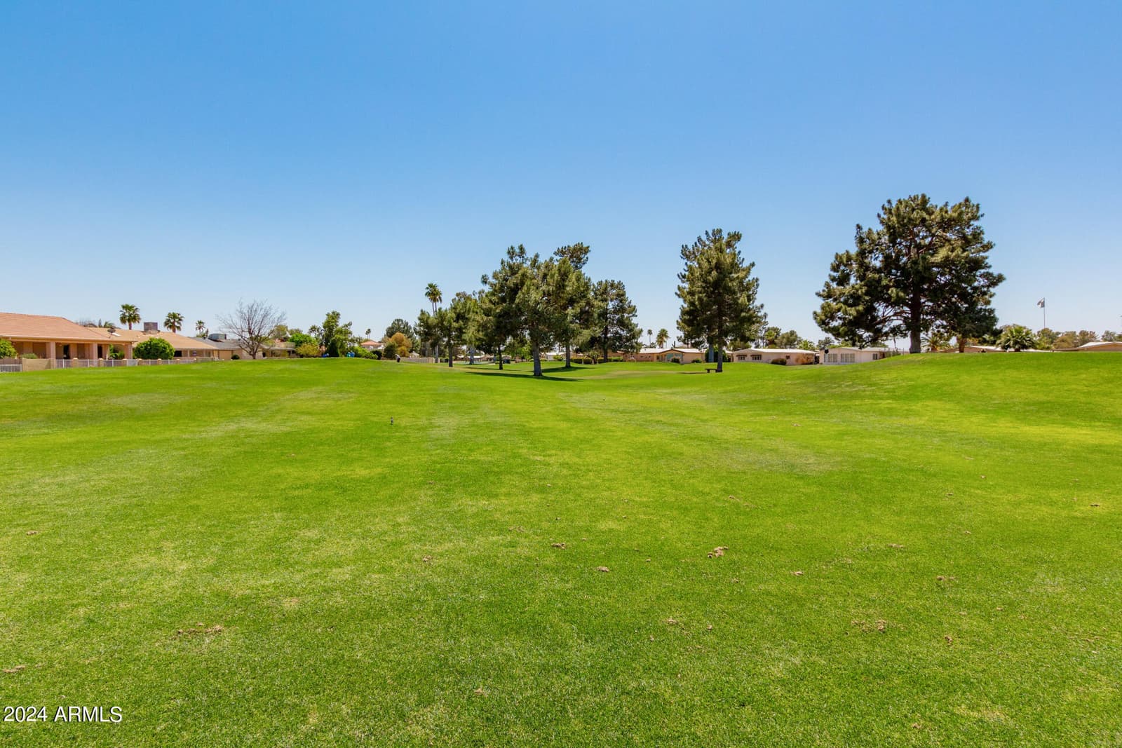 25629 S ONTARIO Drive, Sun Lakes, AZ 85248 — photo 30 of 36
