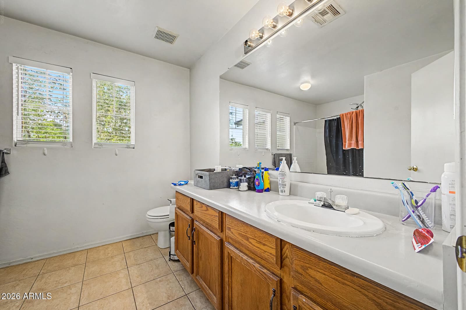 12007 W BELMONT Drive, Avondale, AZ 85323 — photo 9 of 19