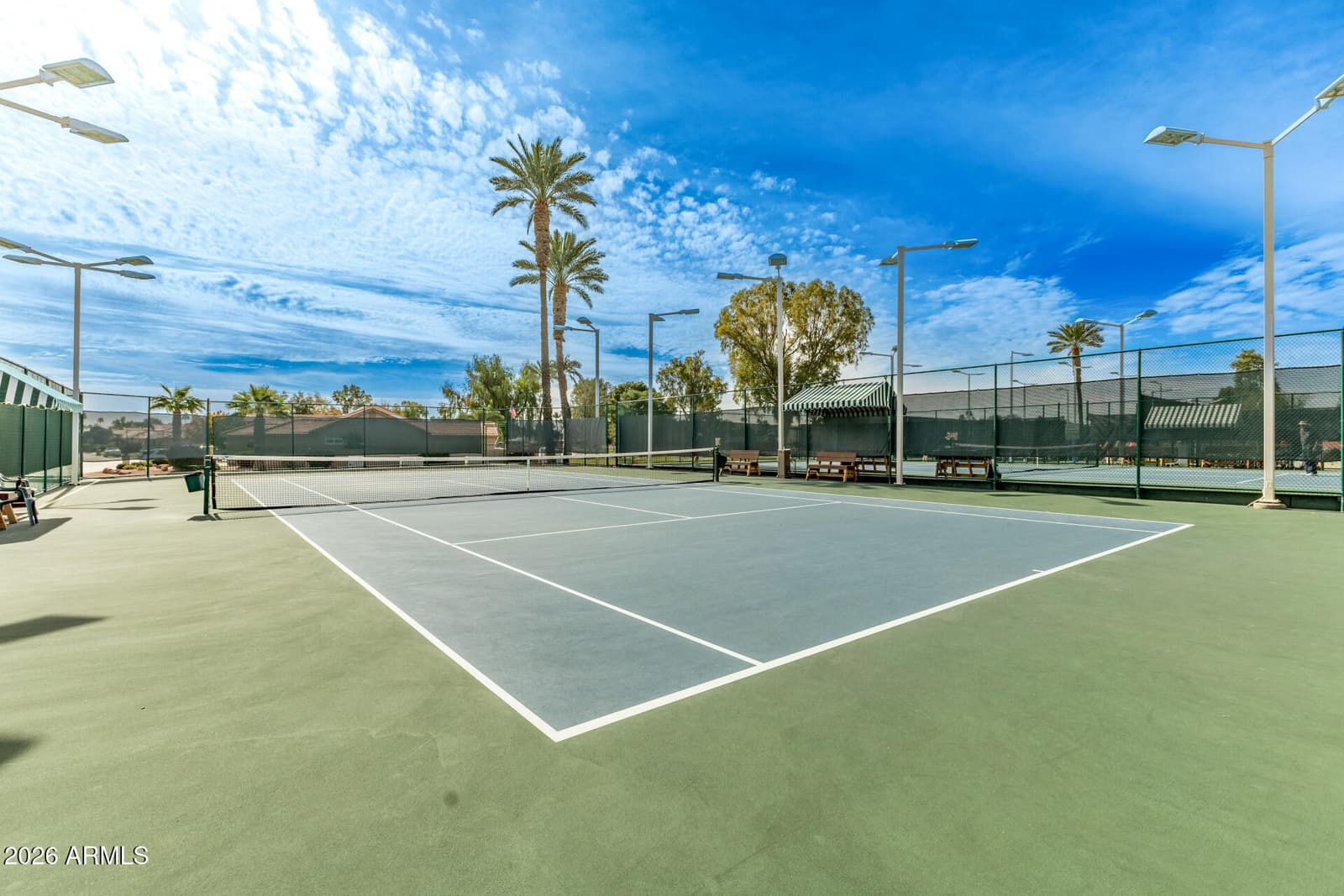 26622 S NEW TOWN Drive, Sun Lakes, AZ 85248 — photo 56 of 58
