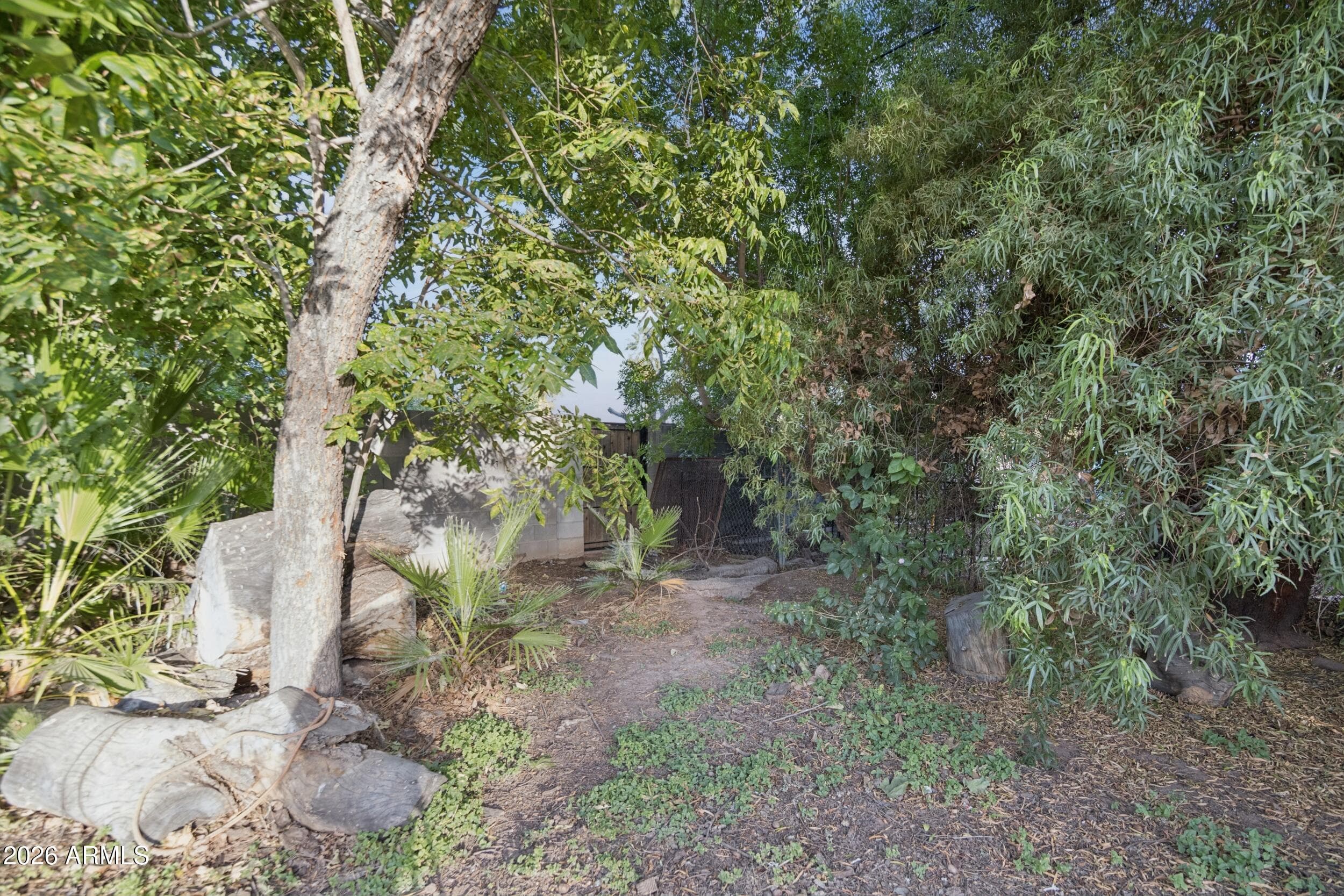 775 E 1ST Place, Mesa, AZ 85203 — photo 15 of 16
