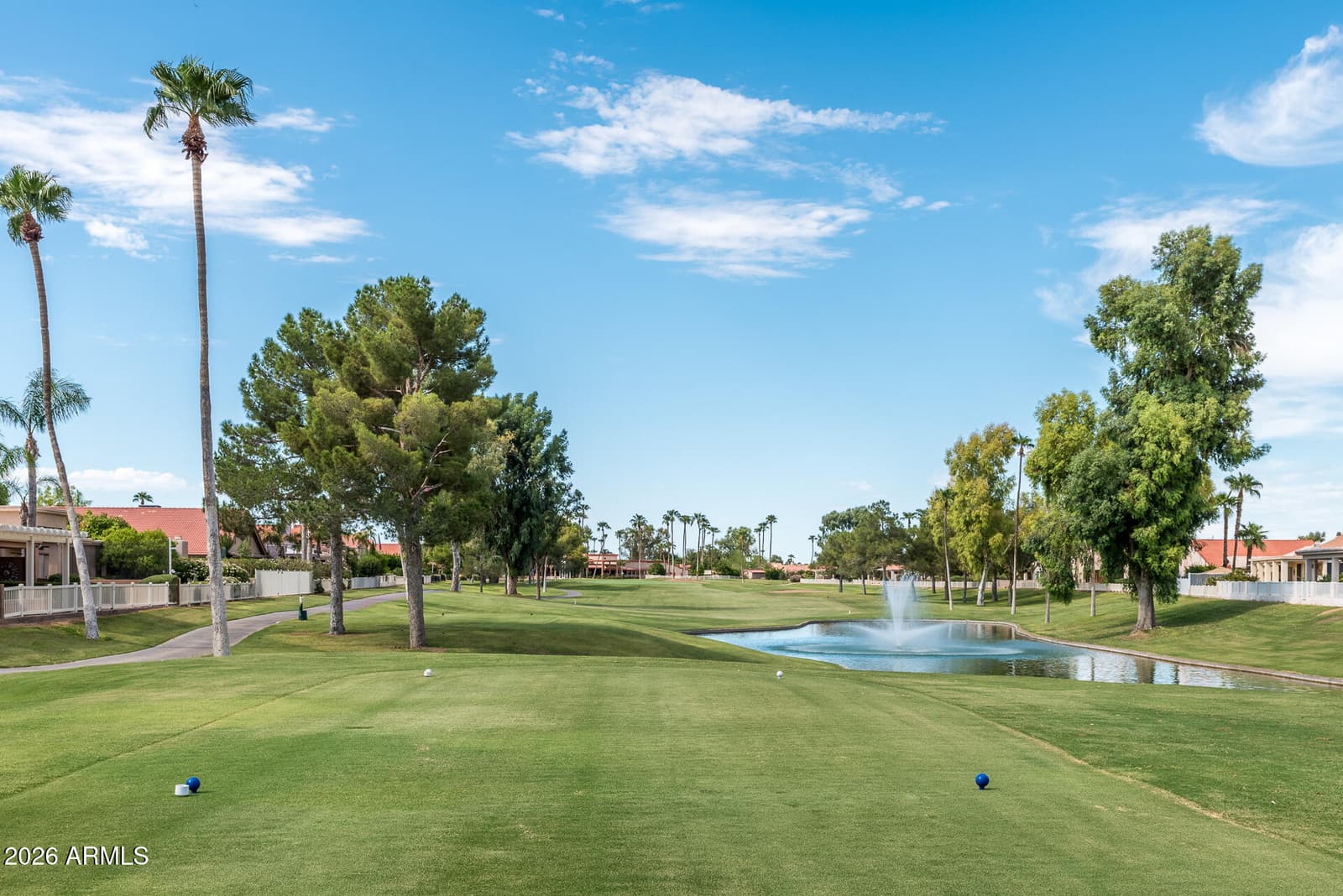 25821 S NEW TOWN Drive, Sun Lakes, AZ 85248 — photo 31 of 36