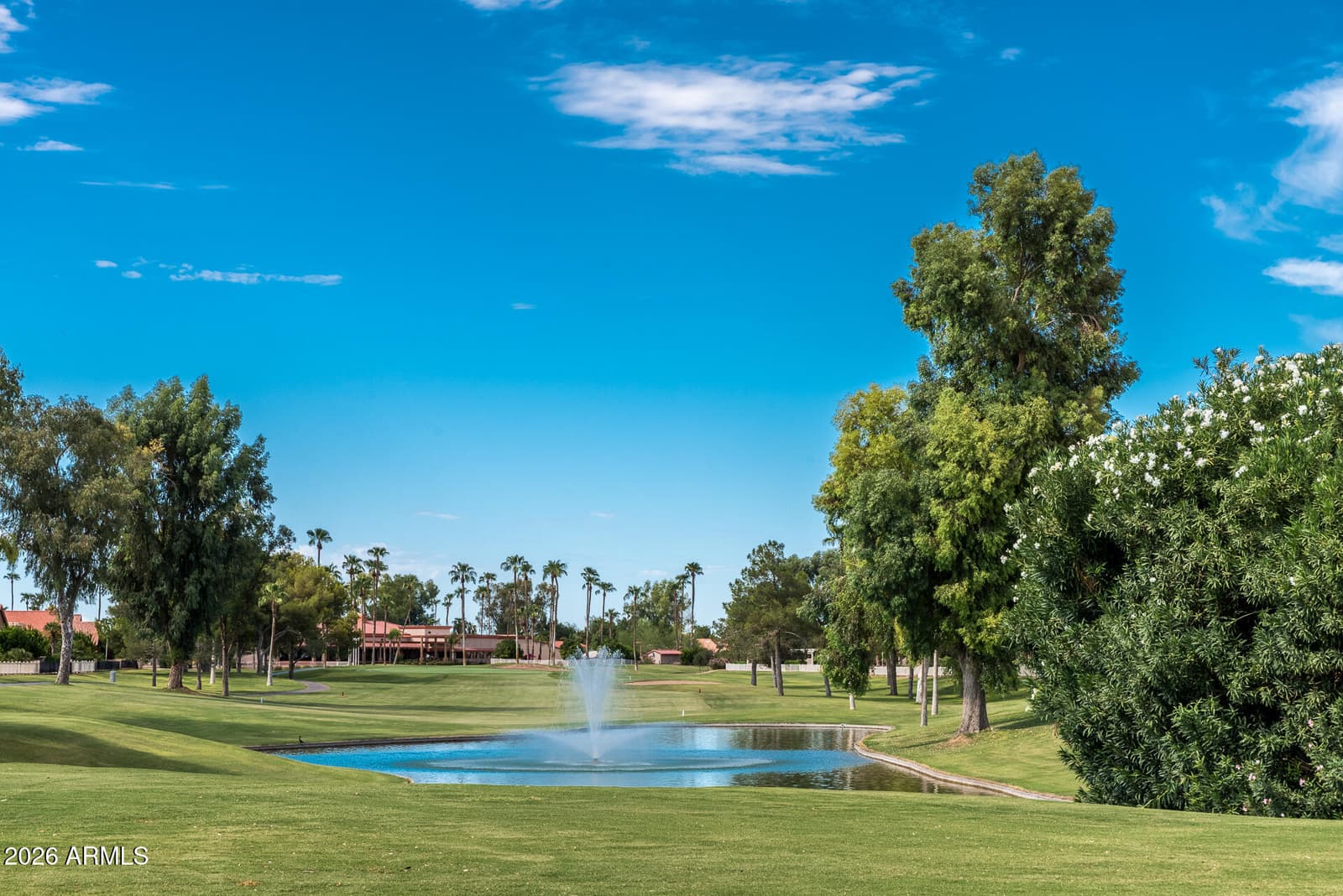 25821 S NEW TOWN Drive, Sun Lakes, AZ 85248 — photo 32 of 36