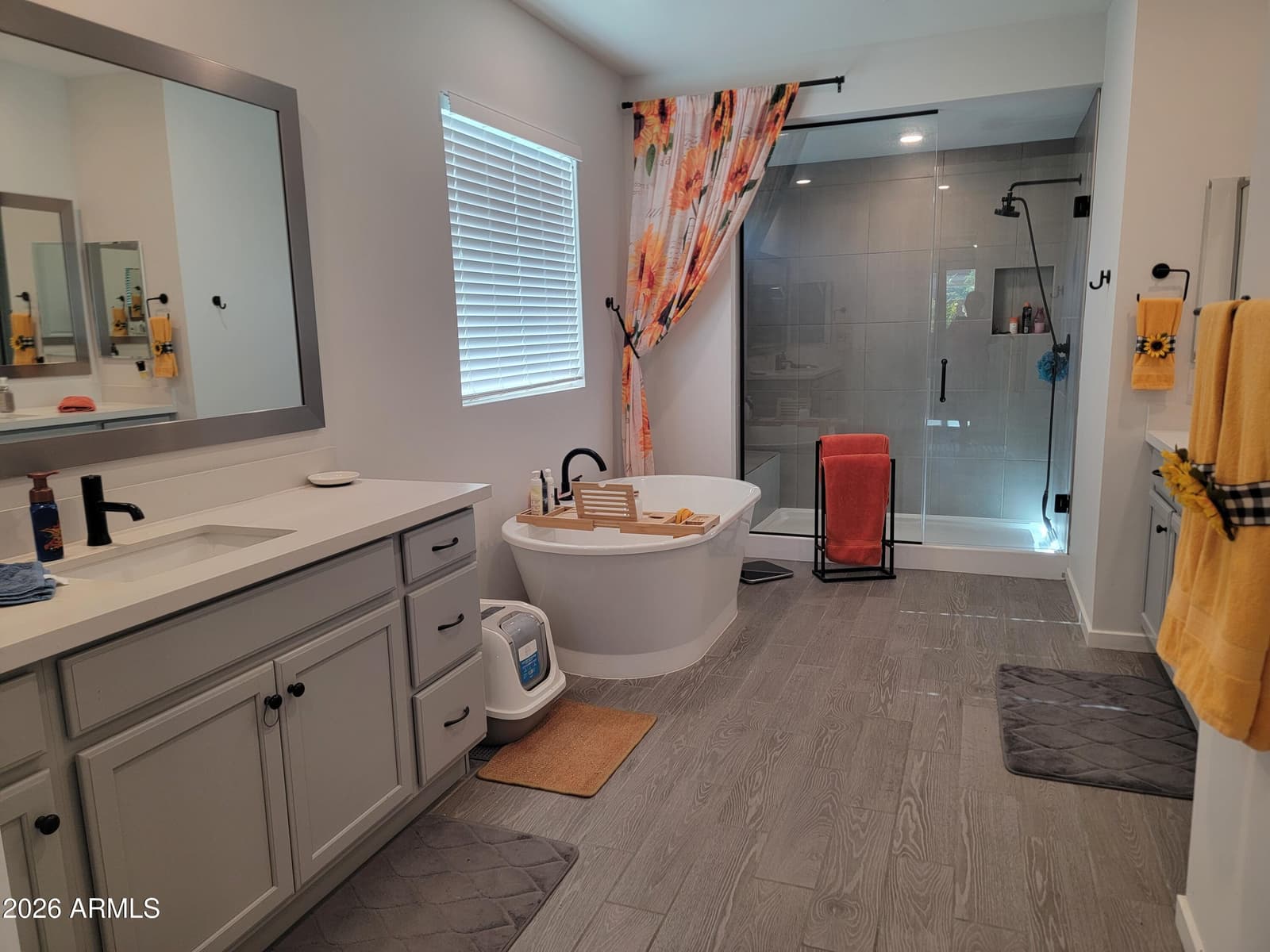 17258 W DIANA Avenue, Waddell, AZ 85355 — photo 18 of 22