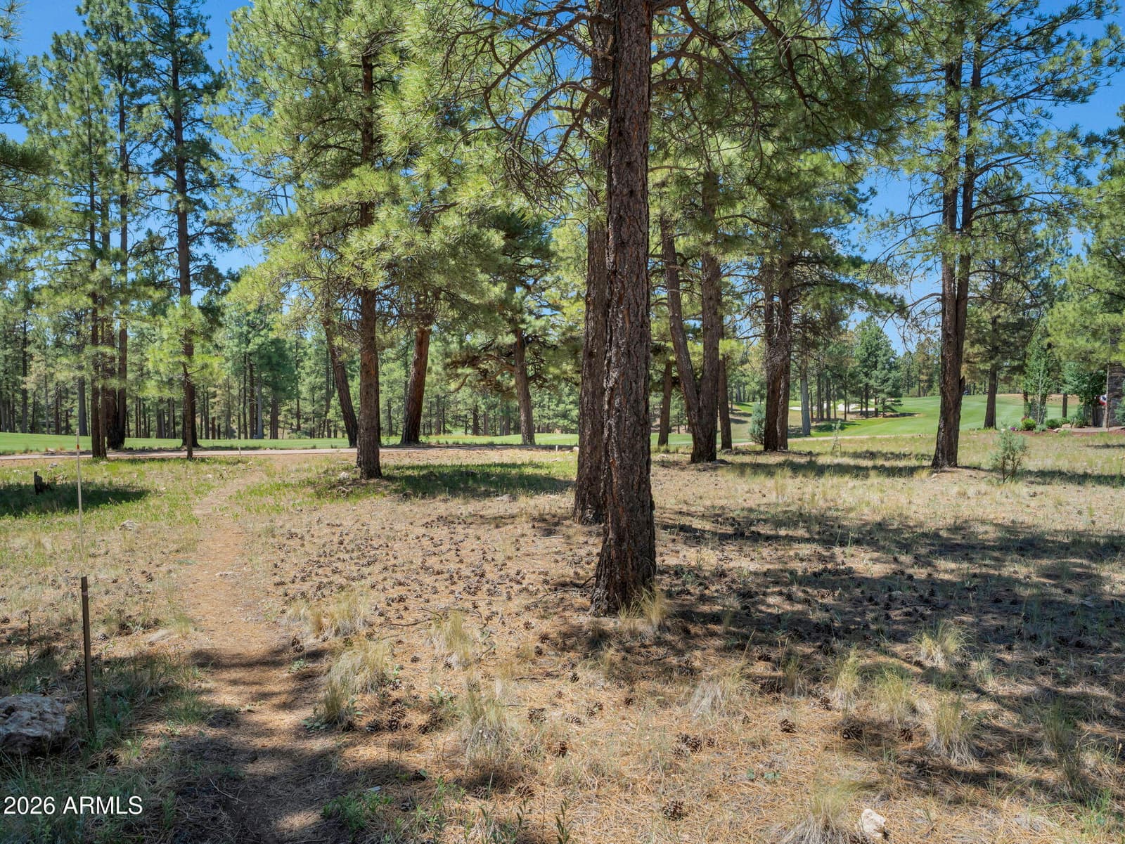 2701 E Byrds View Drive, Flagstaff, AZ 86005 — photo 36 of 55