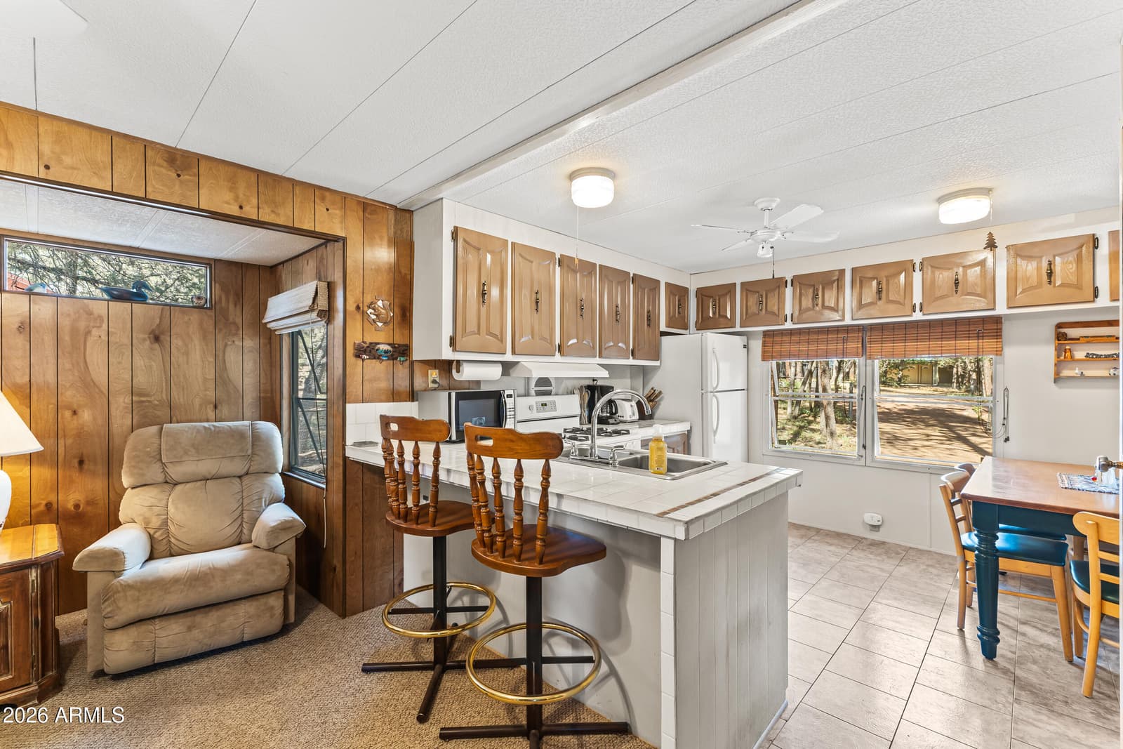 6448 Lower Ridge Drive, Lakeside, AZ 85929 — photo 5 of 19