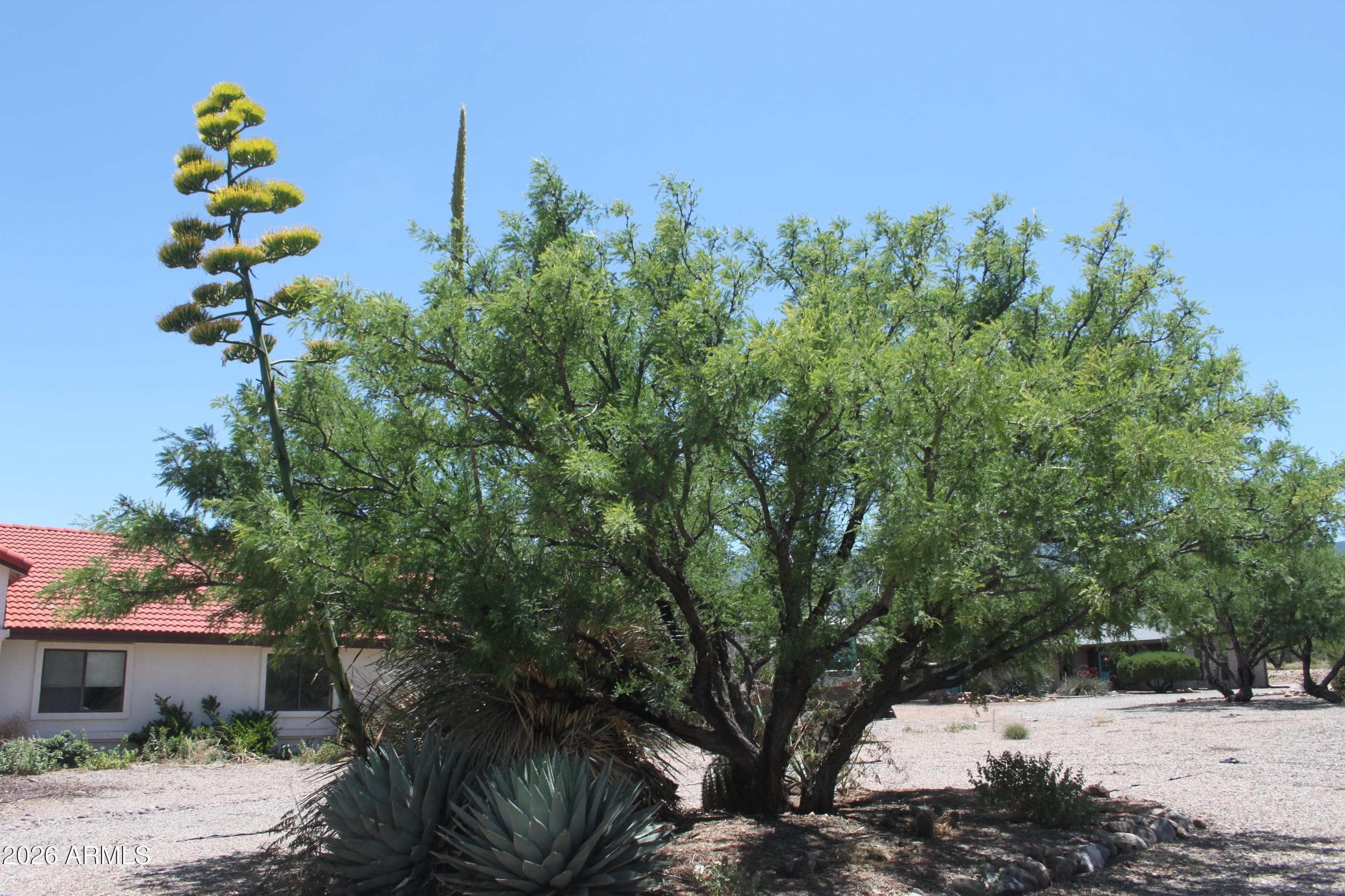 3522 E NAVAHO Street, Sierra Vista, AZ 85650 — photo 25 of 29