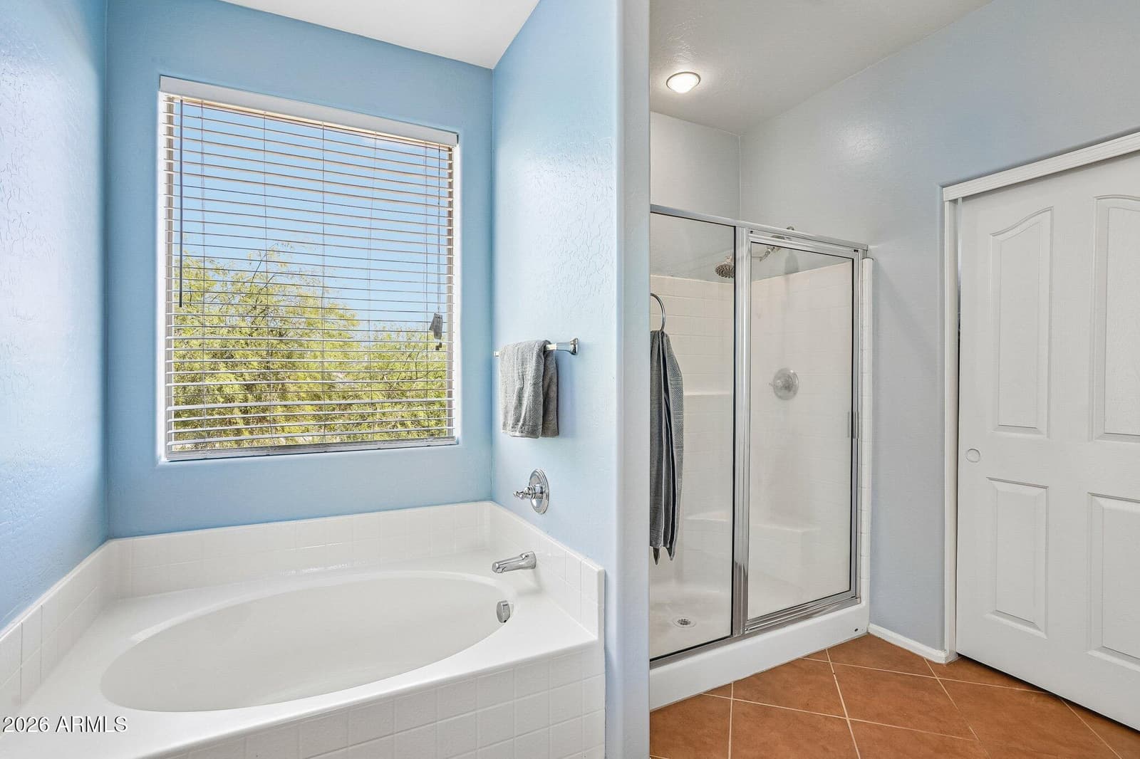 12172 N 150TH Lane, Surprise, AZ 85379 — photo 19 of 37