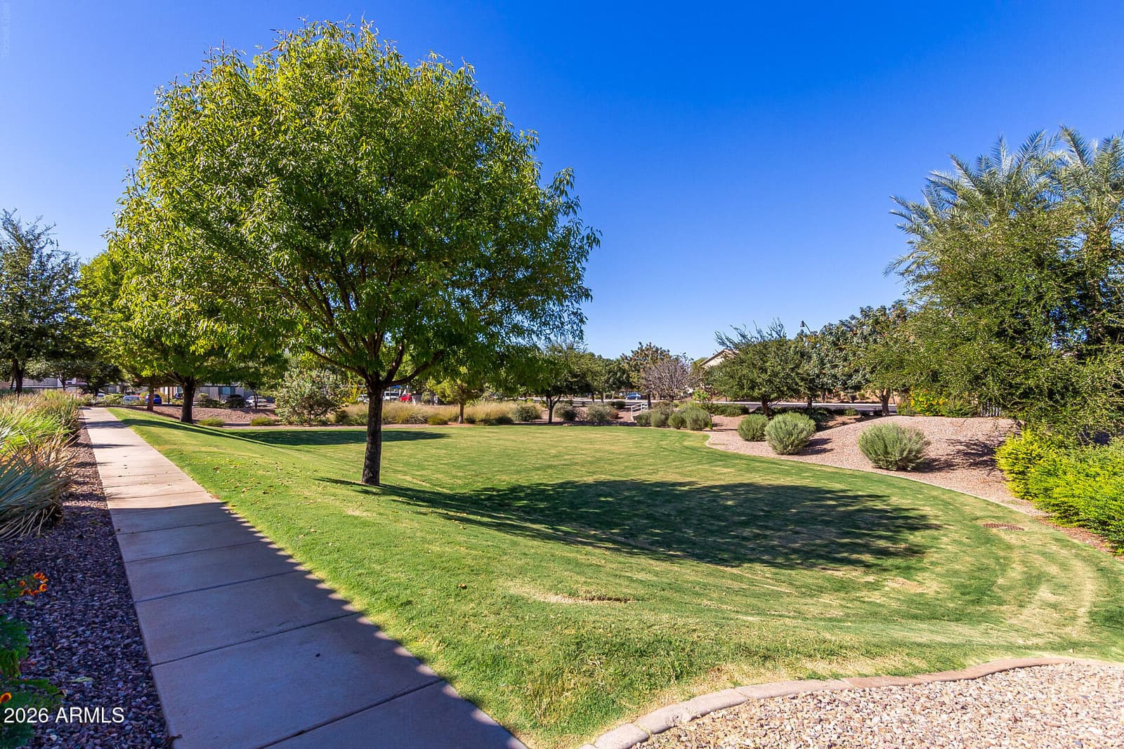 3317 E CARLA VISTA Drive, Gilbert, AZ 85295 — photo 47 of 57