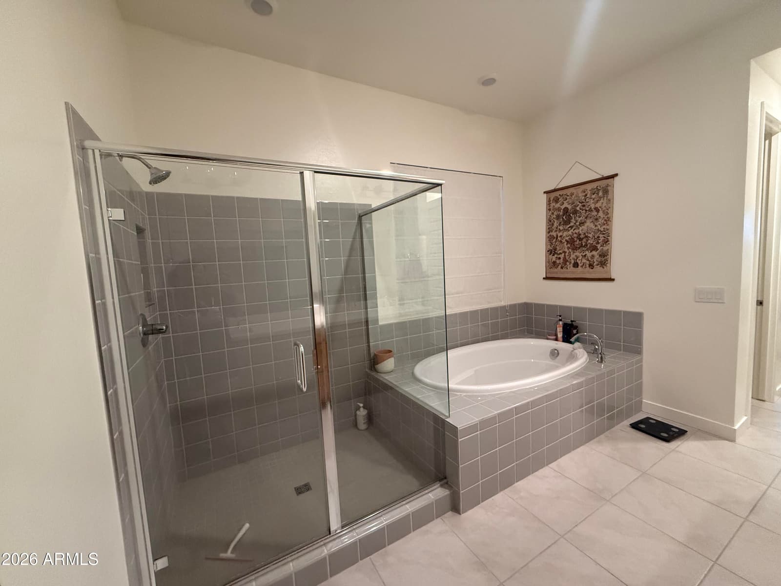 4784 W Lost Camp Lane, Queen Creek, AZ 85144 — photo 42 of 46