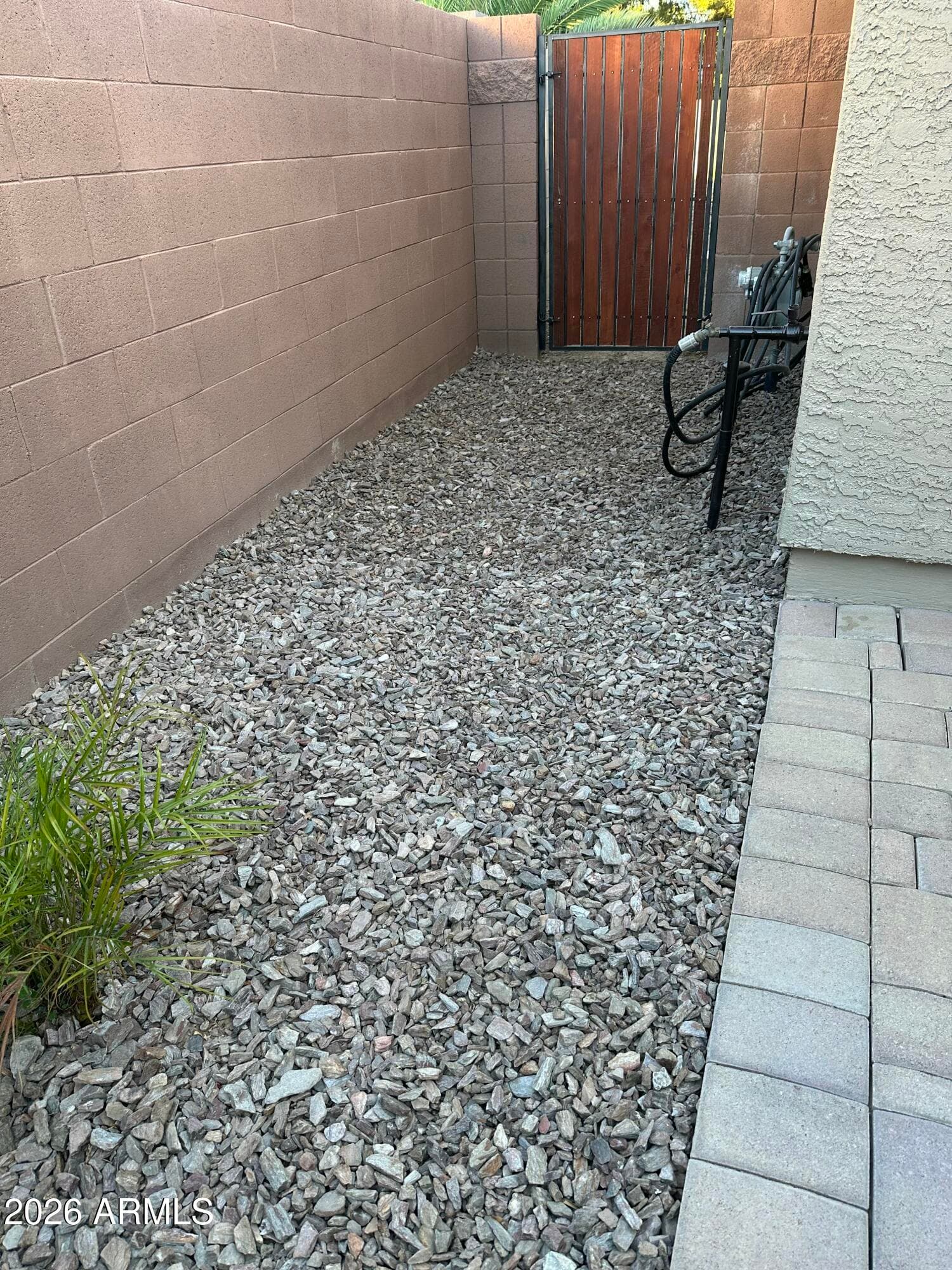 556 W SWEET SHRUB Avenue, Queen Creek, AZ 85140 — photo 52 of 72