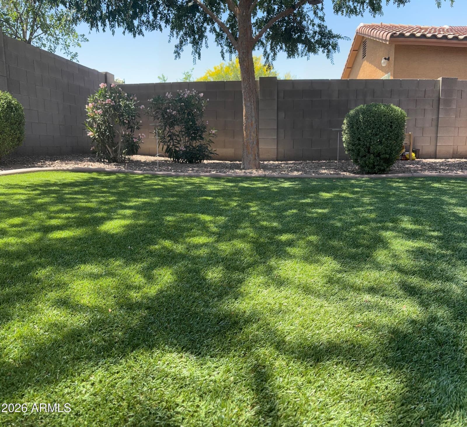 901 W WITT Avenue, San Tan Valley, AZ 85140 — photo 14 of 33