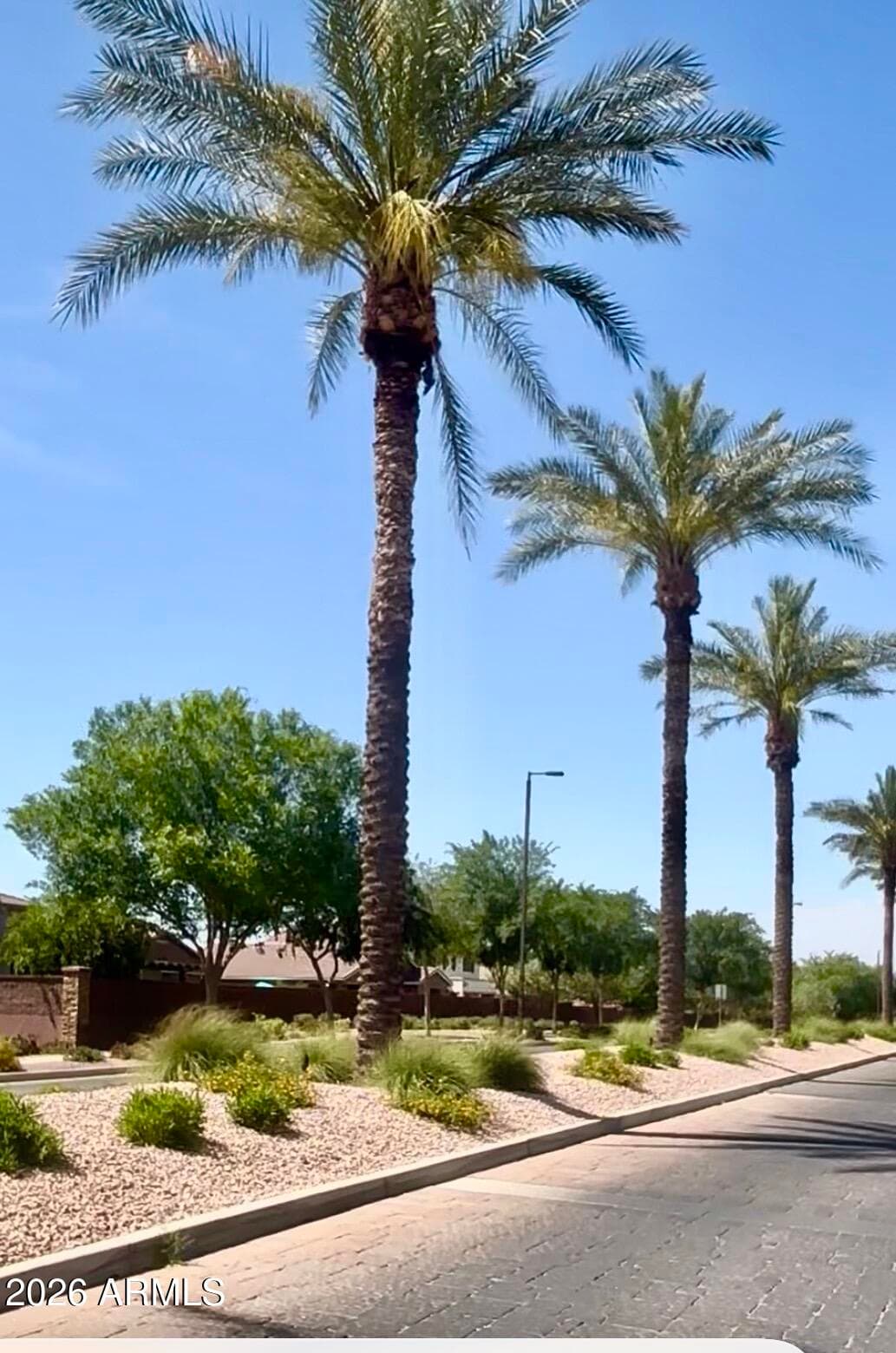 901 W WITT Avenue, San Tan Valley, AZ 85140 — photo 21 of 33