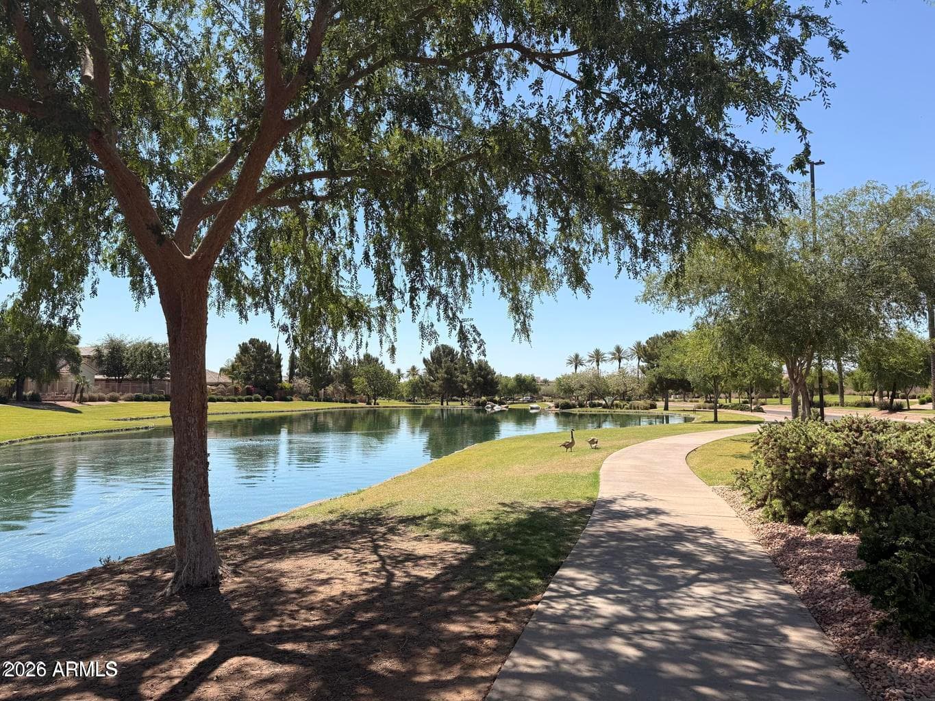 582 W ZION Place, Chandler, AZ 85248 — photo 23 of 26