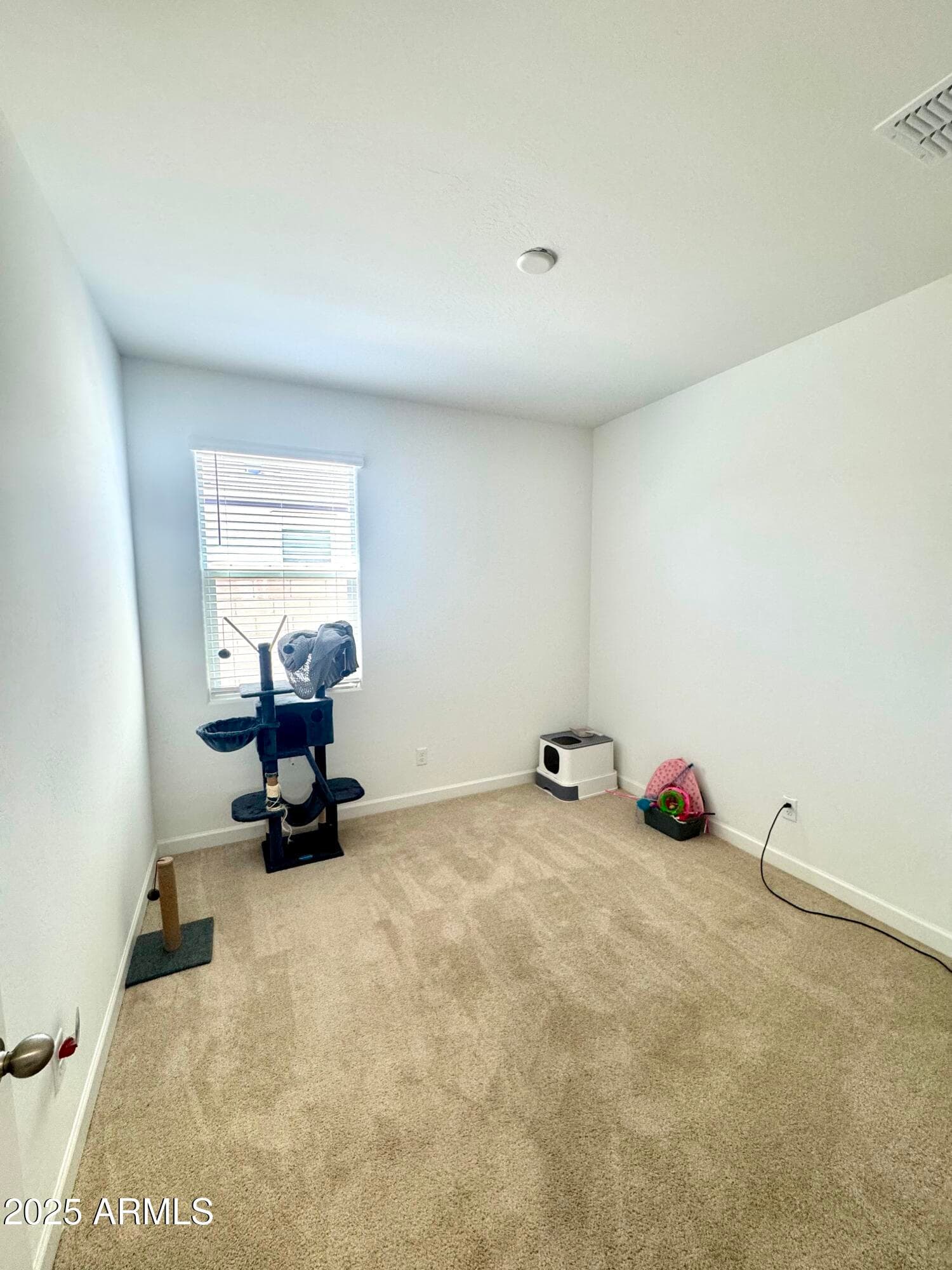 24114 W FLORES Drive, Buckeye, AZ 85326 — photo 10 of 14