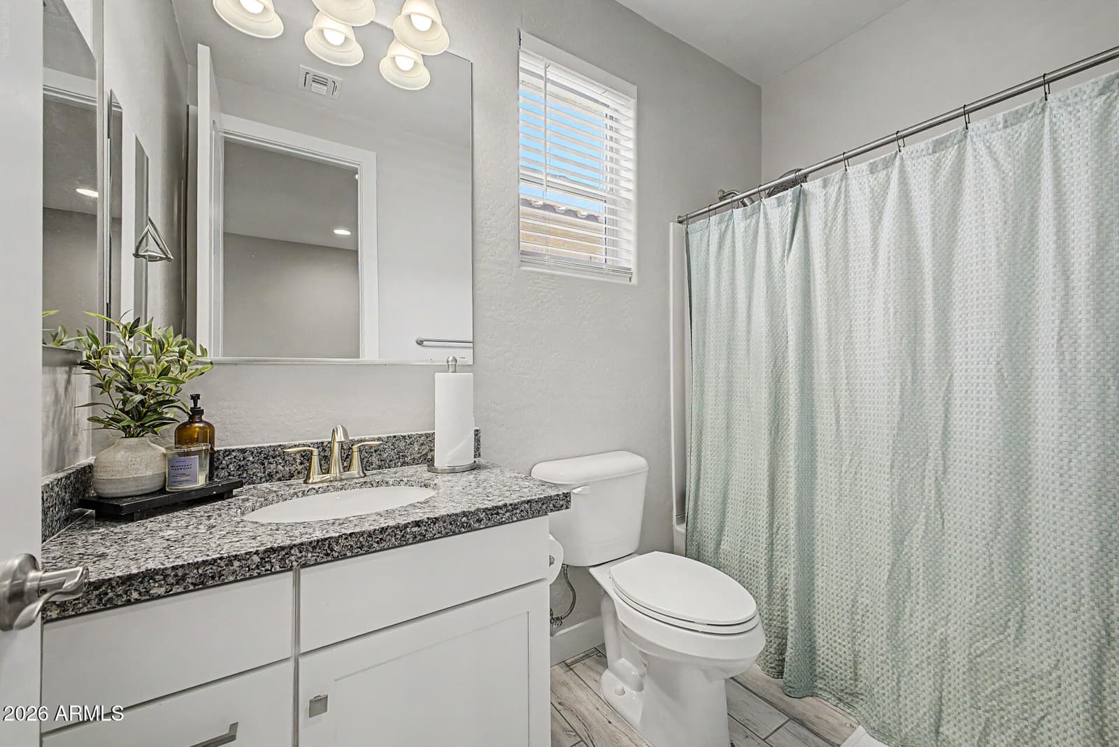 17455 W BLOOMFIELD Road, Surprise, AZ 85388 — photo 26 of 36