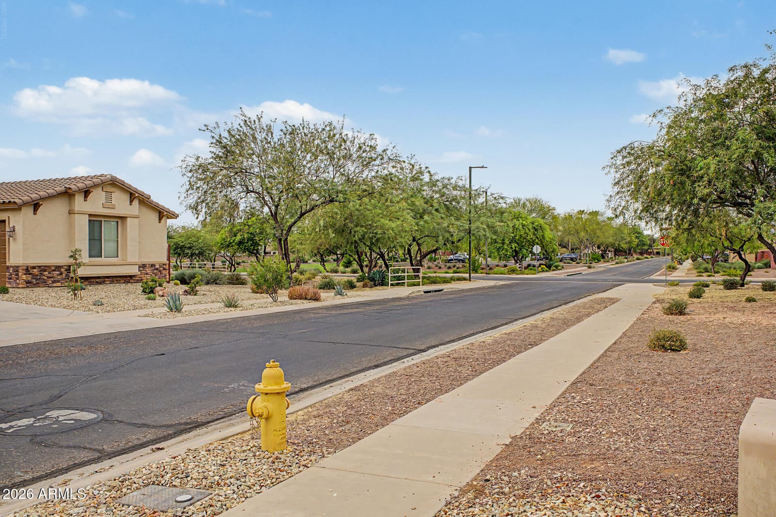 17428 W RED BIRD Road, Surprise, AZ 85387 — photo 4 of 54