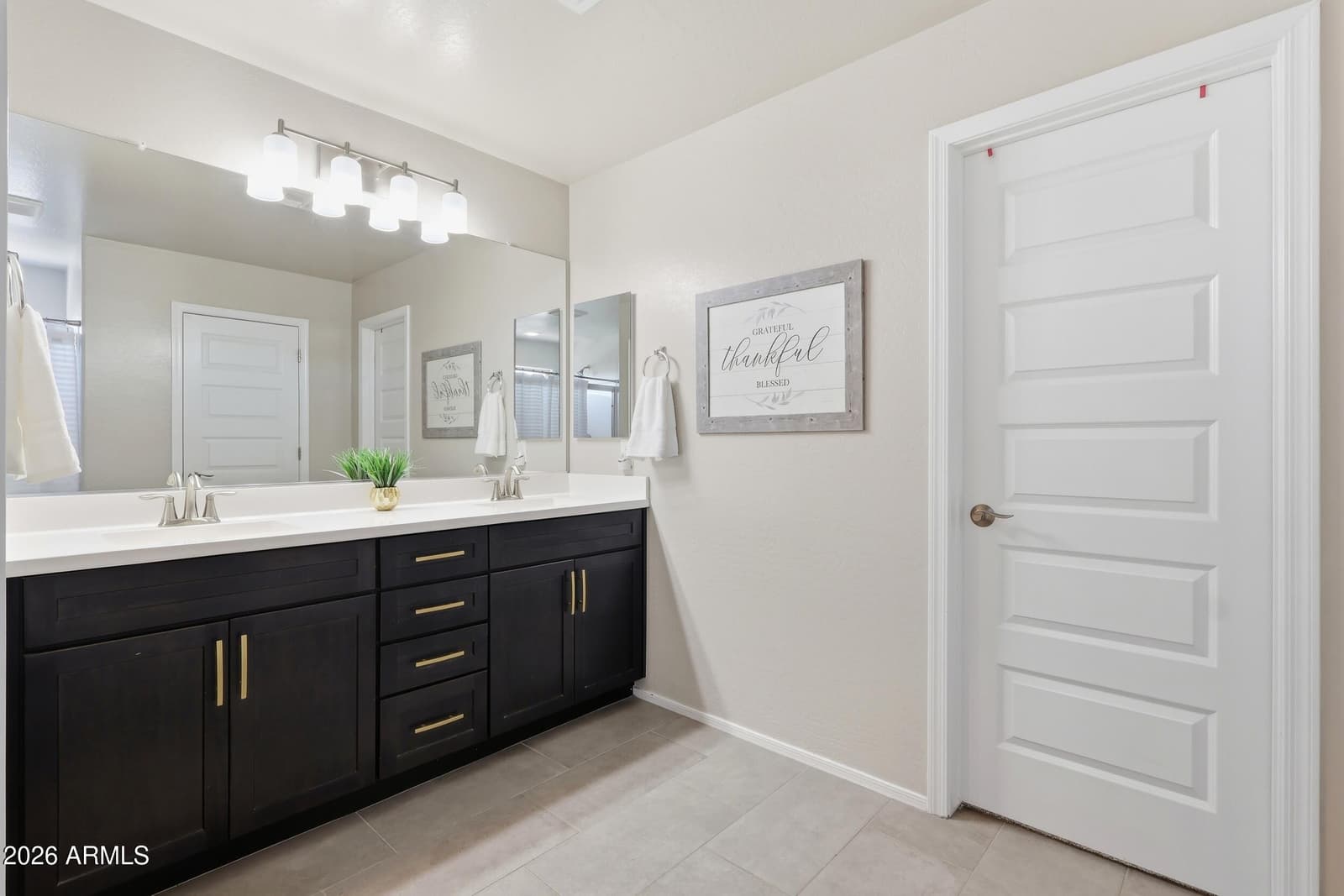 4383 W HORSENETTLE Drive, San Tan Valley, AZ 85144 — photo 20 of 46