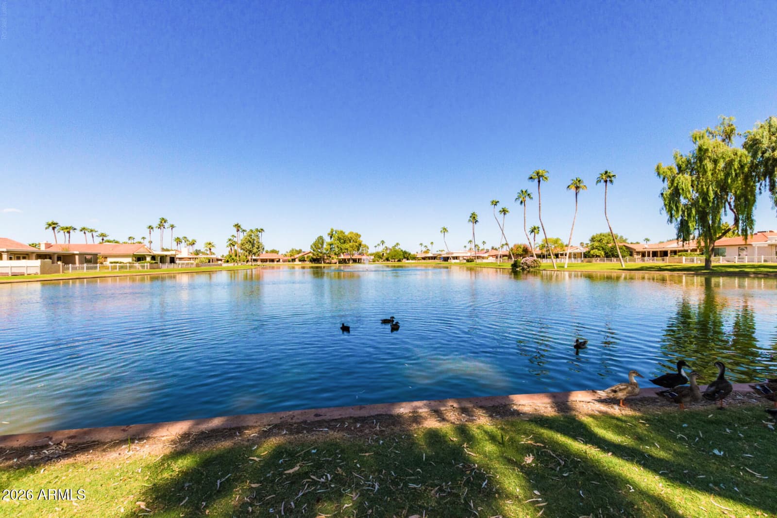 9850 E MINNESOTA Avenue, Sun Lakes, AZ 85248 — photo 39 of 39