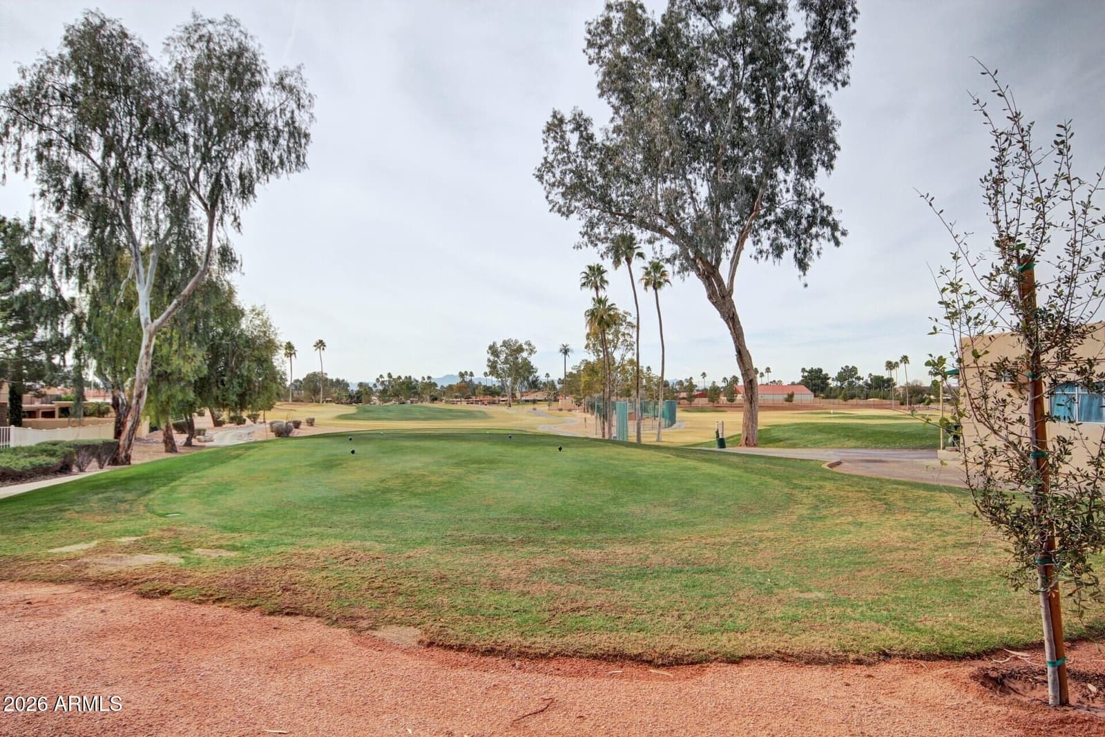 26402 S SEDONA Drive, Sun Lakes, AZ 85248 — photo 52 of 83