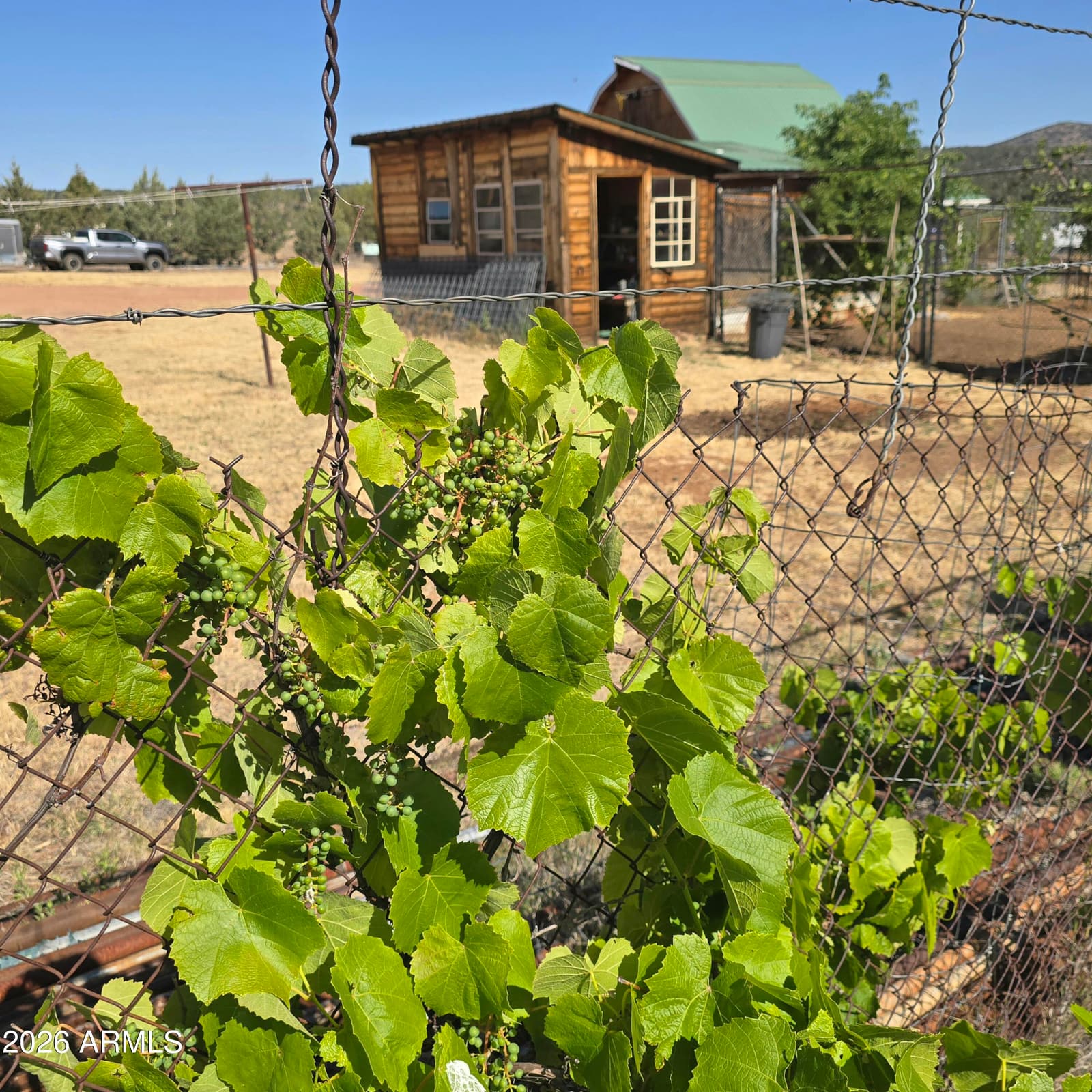 624 W Baker Ranch Road, Young, AZ 85554 — photo 100 of 129