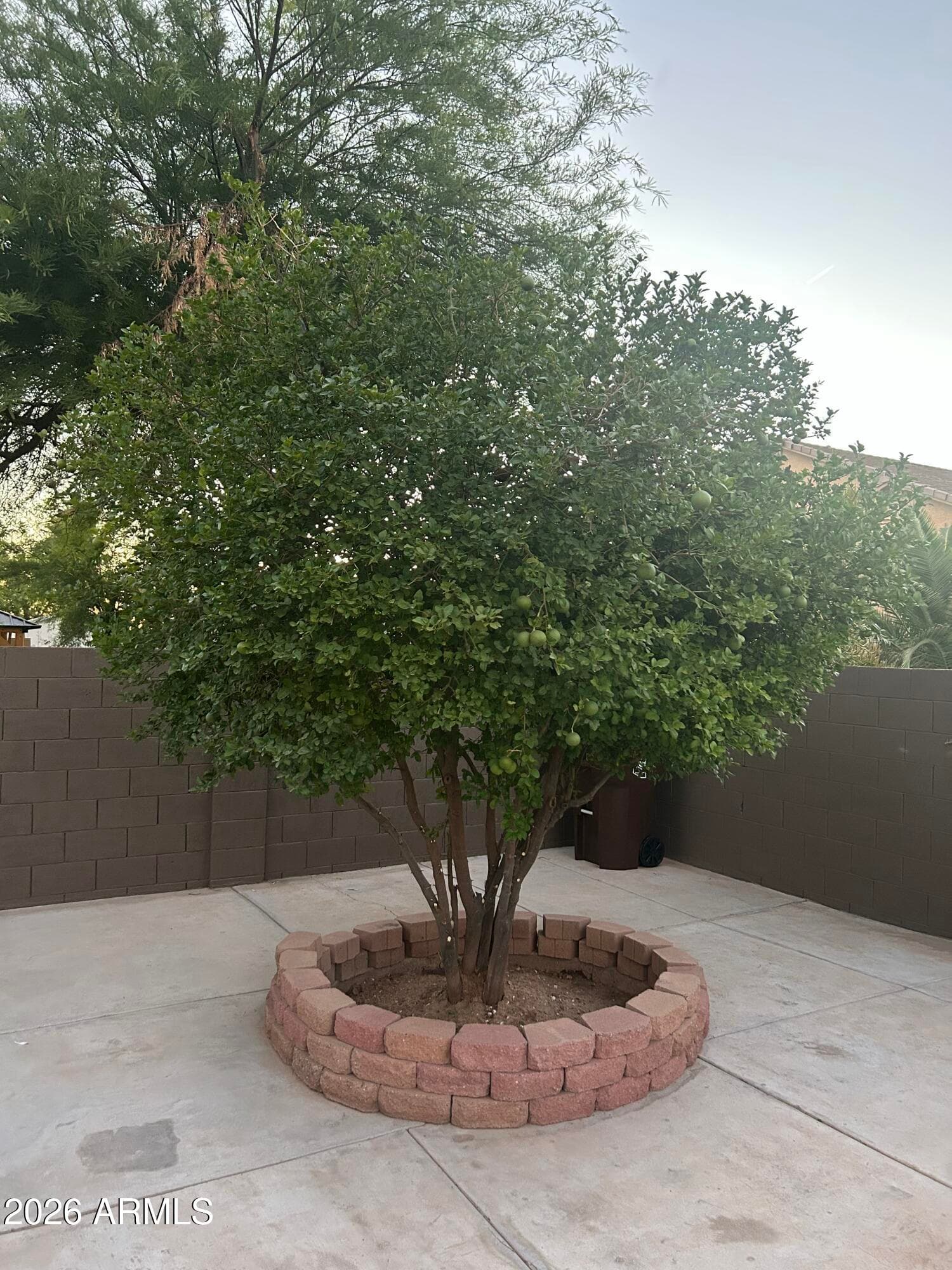 36582 W EL GRECO Street, Maricopa, AZ 85138 — photo 14 of 38