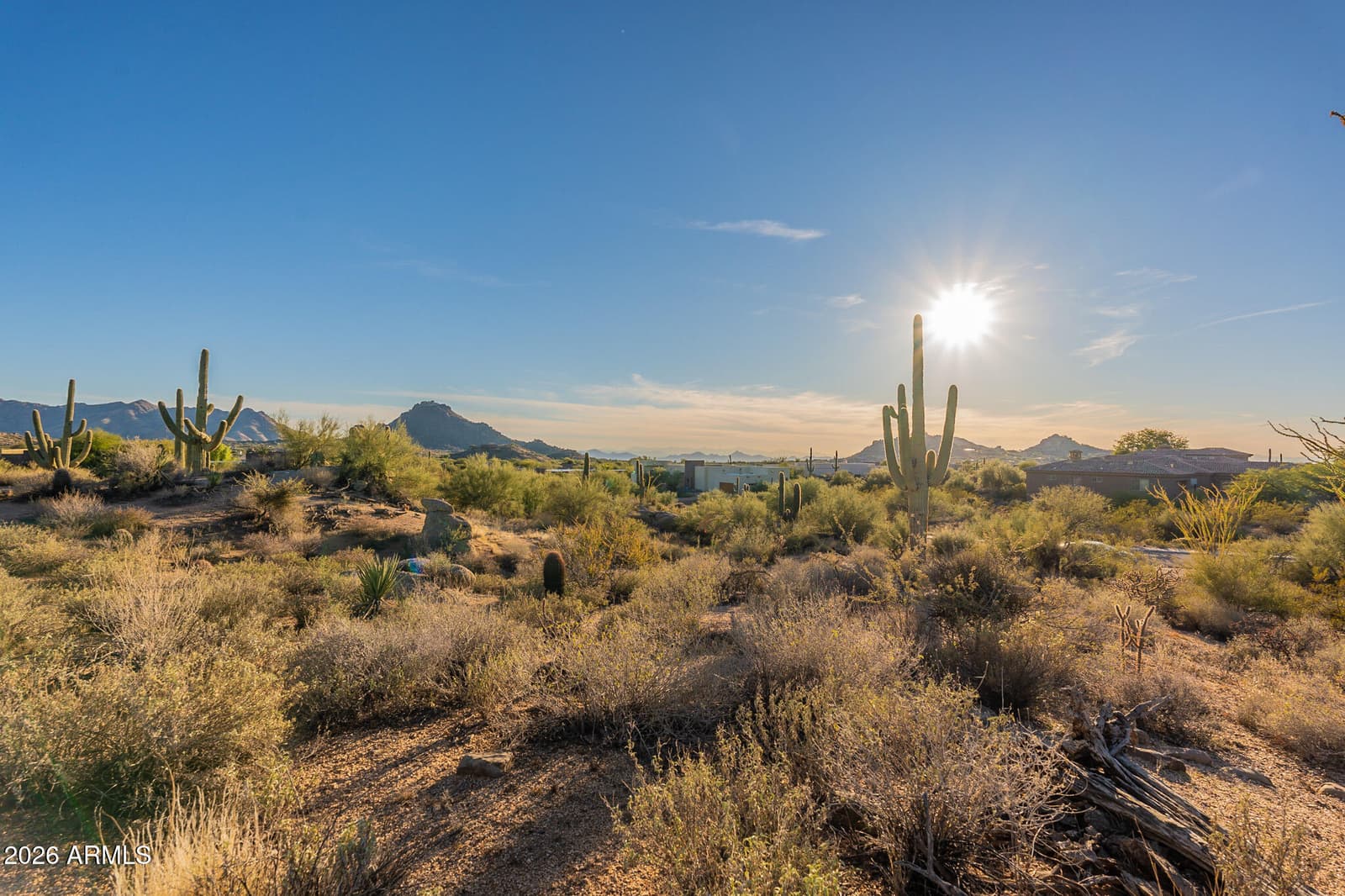 28729 N 107TH Street, Scottsdale, AZ 85262 — photo 23 of 25