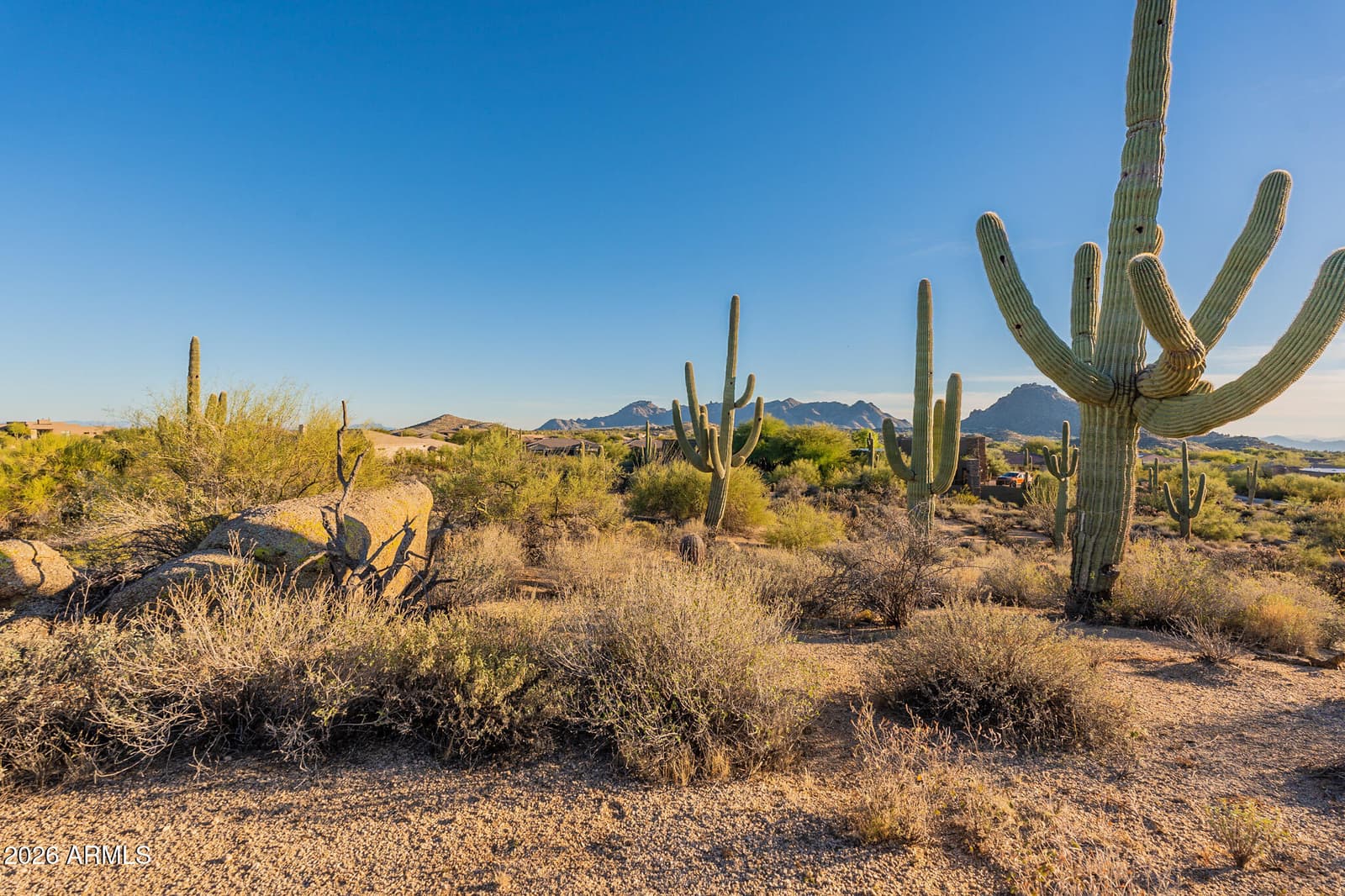 28729 N 107TH Street, Scottsdale, AZ 85262 — photo 24 of 25
