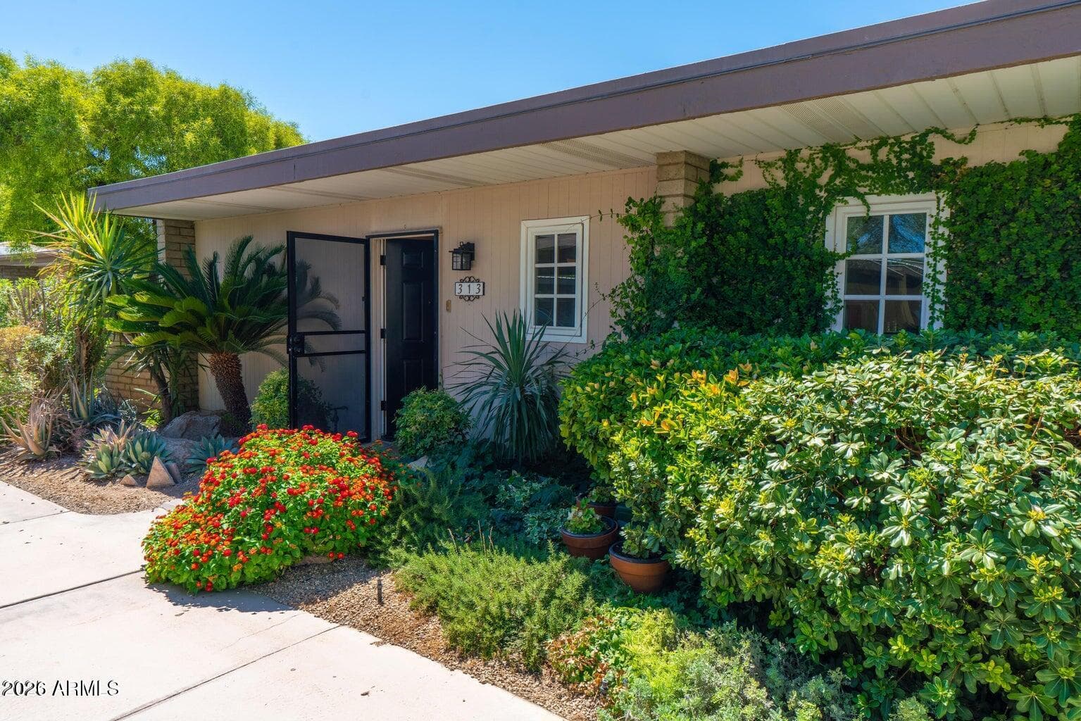 4800 N 68th Street 313, Scottsdale, AZ 85251 — photo 18 of 29