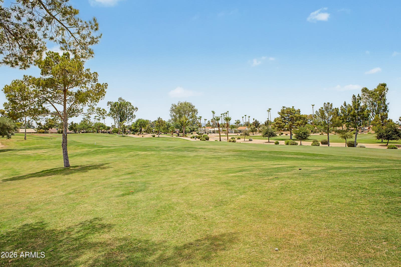 25662 S BRENTWOOD Drive, Sun Lakes, AZ 85248 — photo 39 of 39