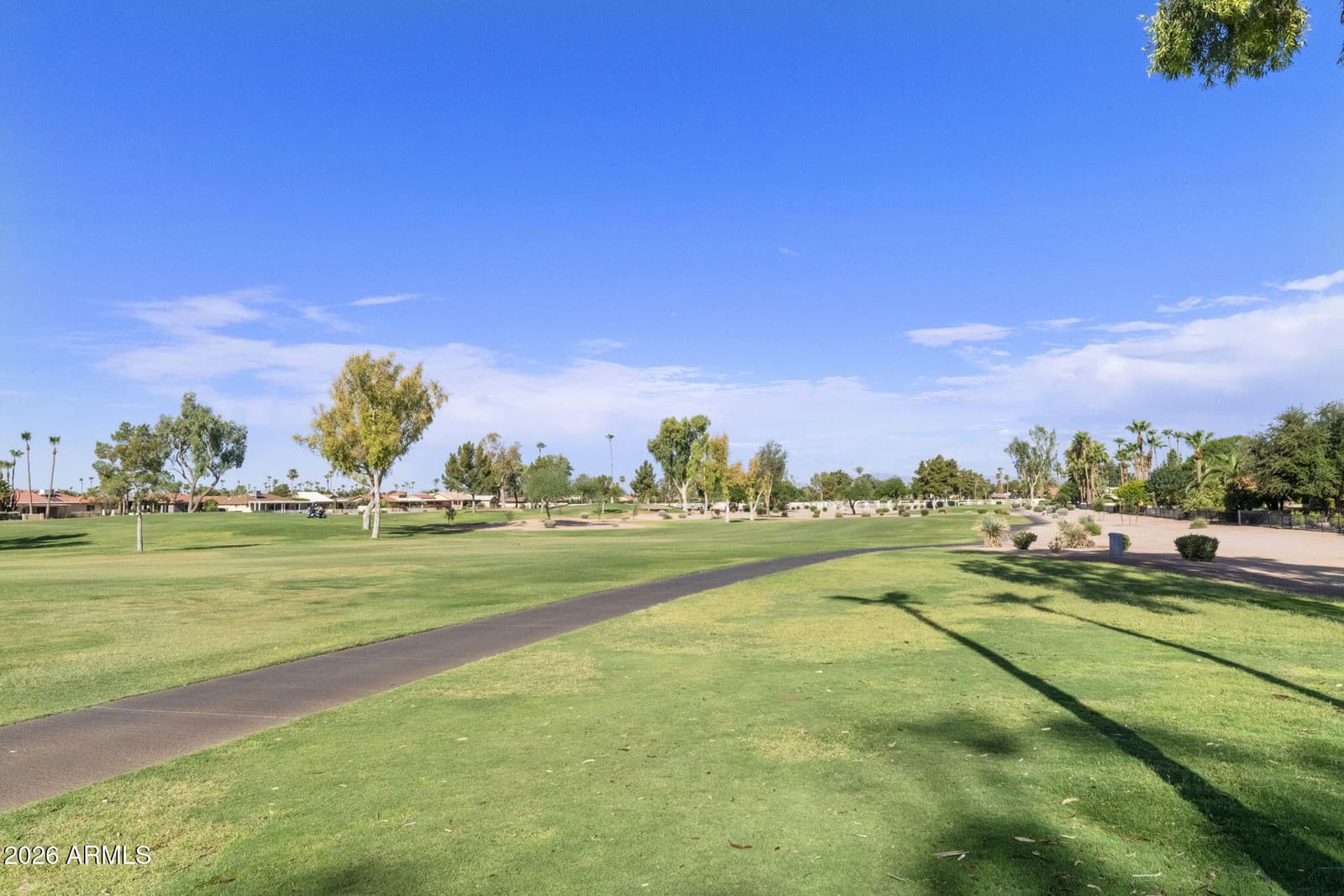 10519 E MICHIGAN Avenue, Sun Lakes, AZ 85248 — photo 47 of 73