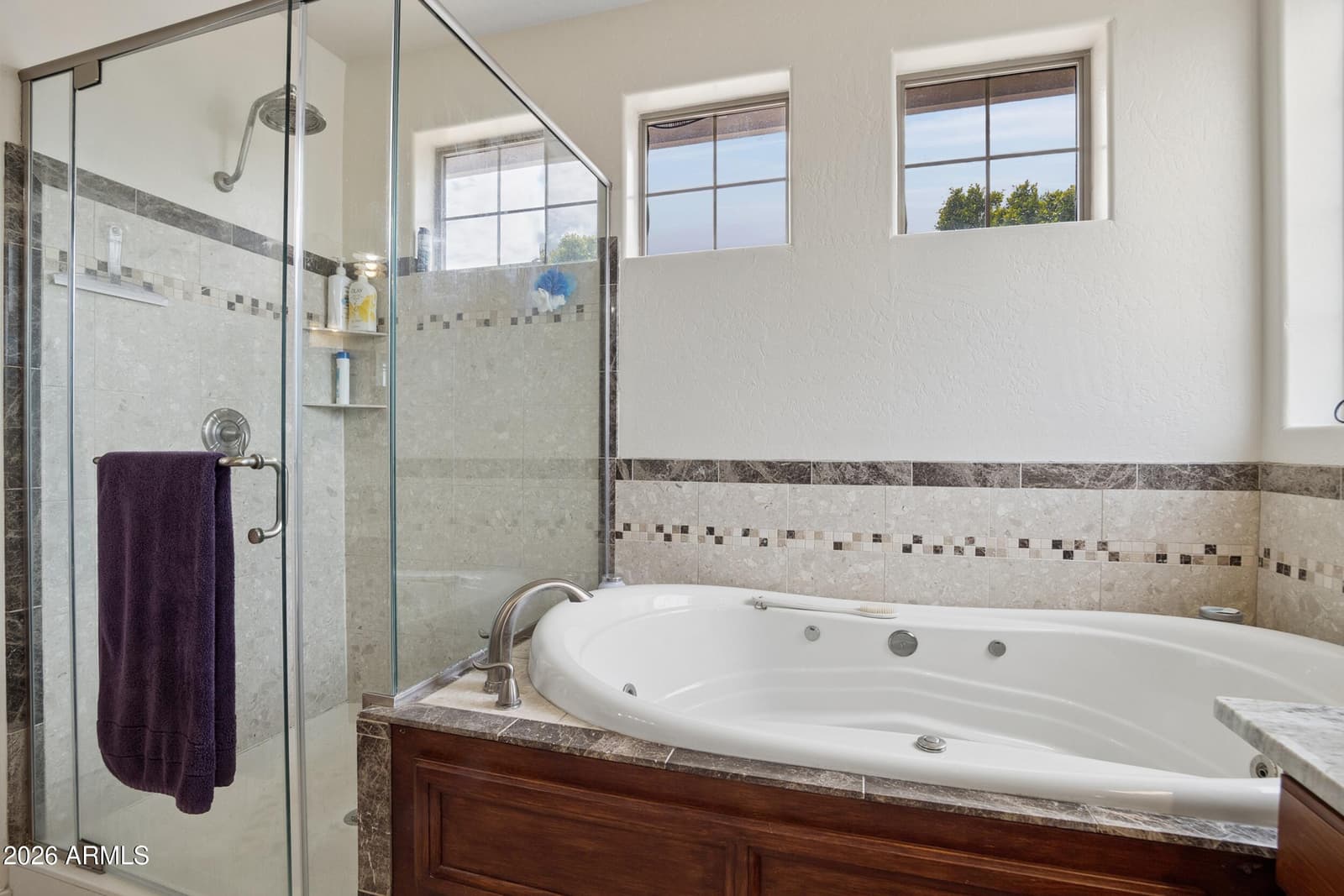 22422 N 80TH Lane, Peoria, AZ 85383 — photo 28 of 54