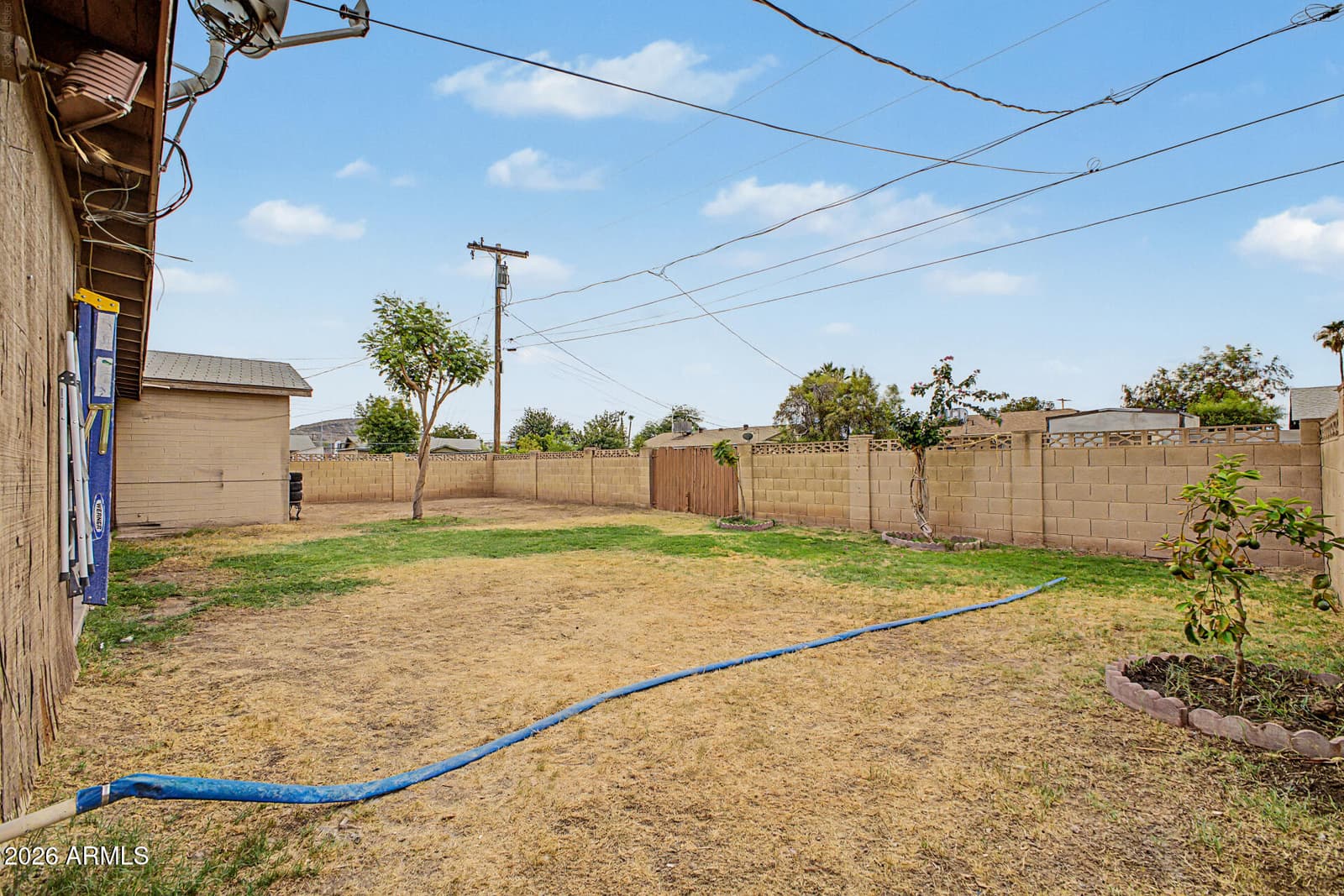 2909 W ASTER Drive, Phoenix, AZ 85029 — photo 19 of 29