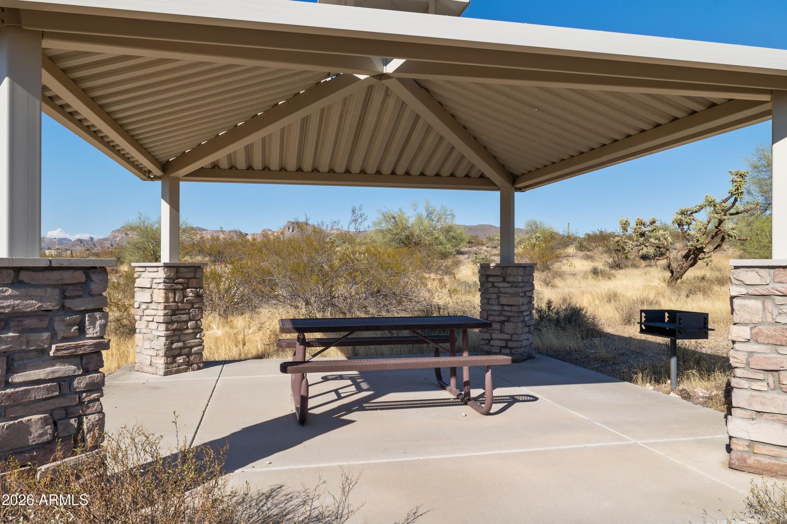 18835 E LUZON Drive, Gold Canyon, AZ 85118 — photo 21 of 24