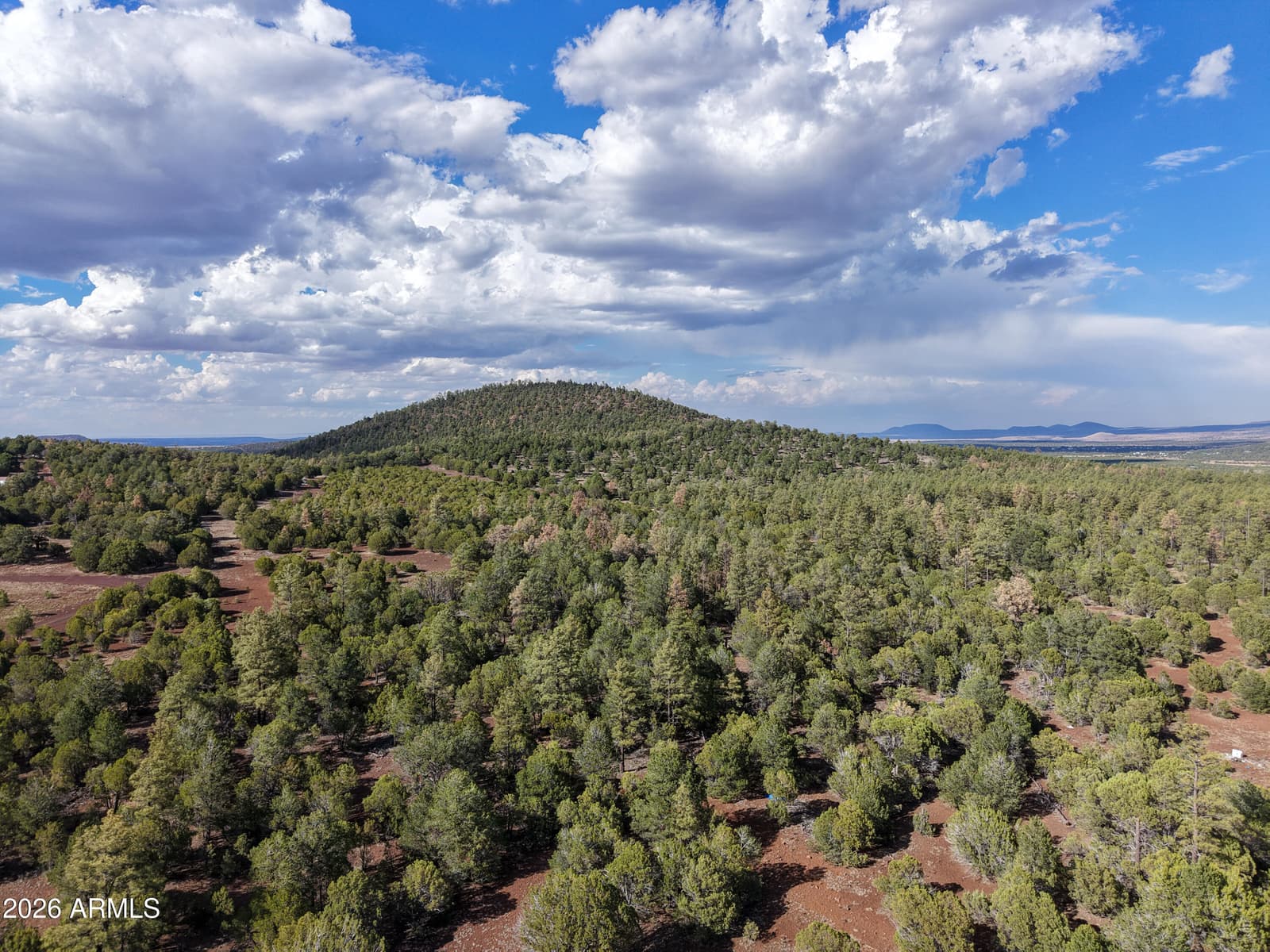 4 N 3163, Vernon, AZ 85940 — photo 79 of 90