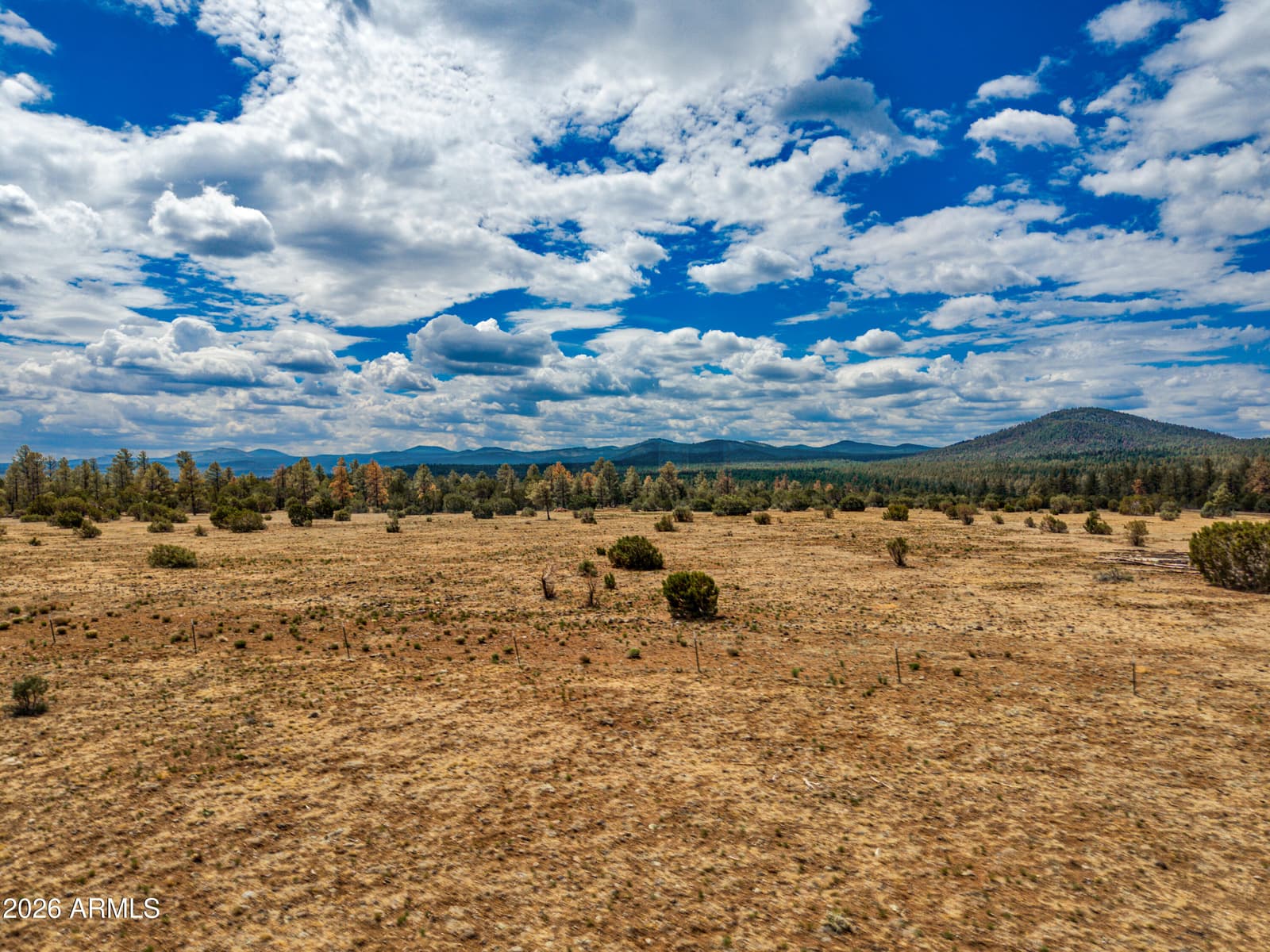 4 N 3163, Vernon, AZ 85940 — photo 61 of 90