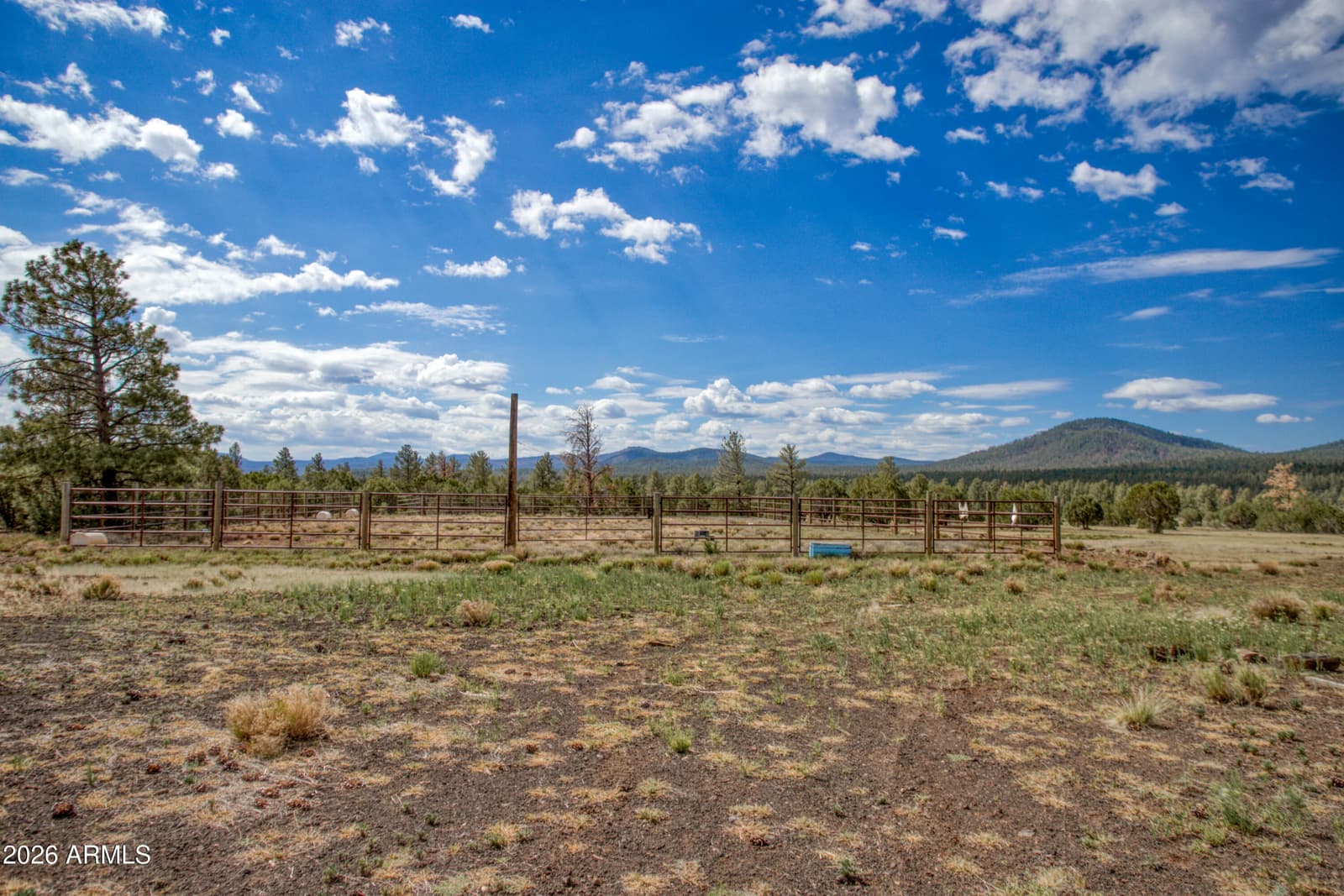 4 N 3163, Vernon, AZ 85940 — photo 47 of 90