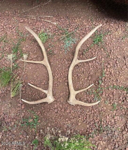 4 N 3163, Vernon, AZ 85940 — photo 86 of 90