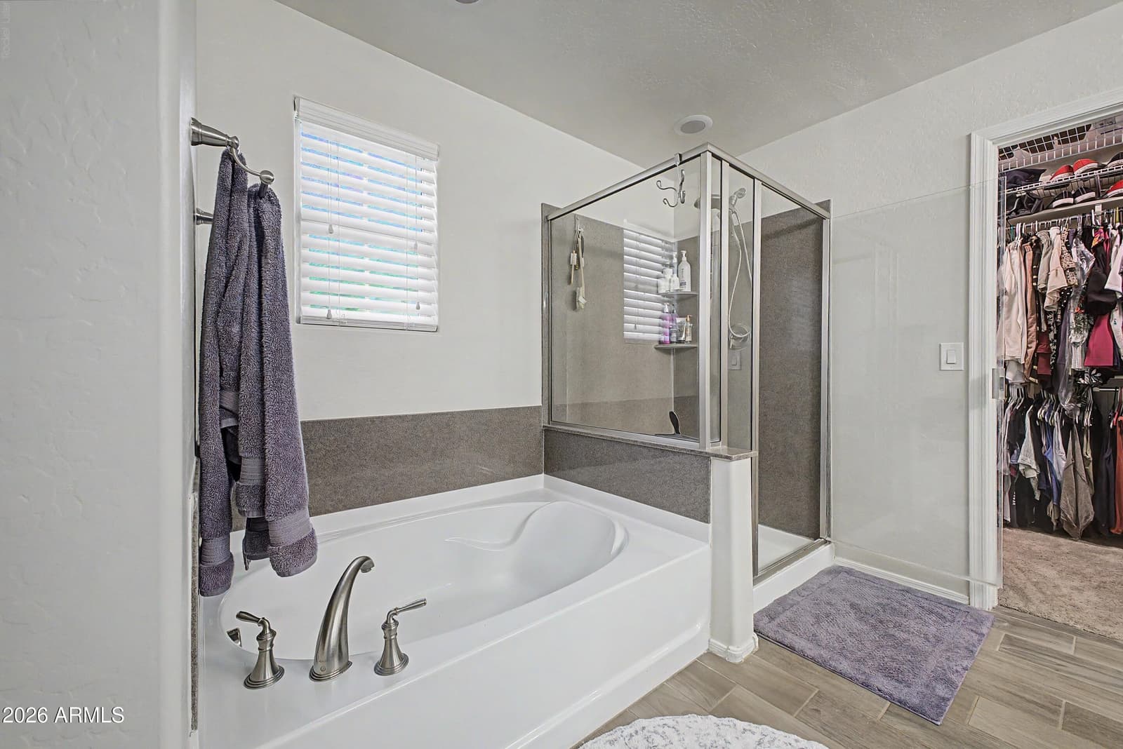 26204 N 120TH Lane, Peoria, AZ 85383 — photo 11 of 21