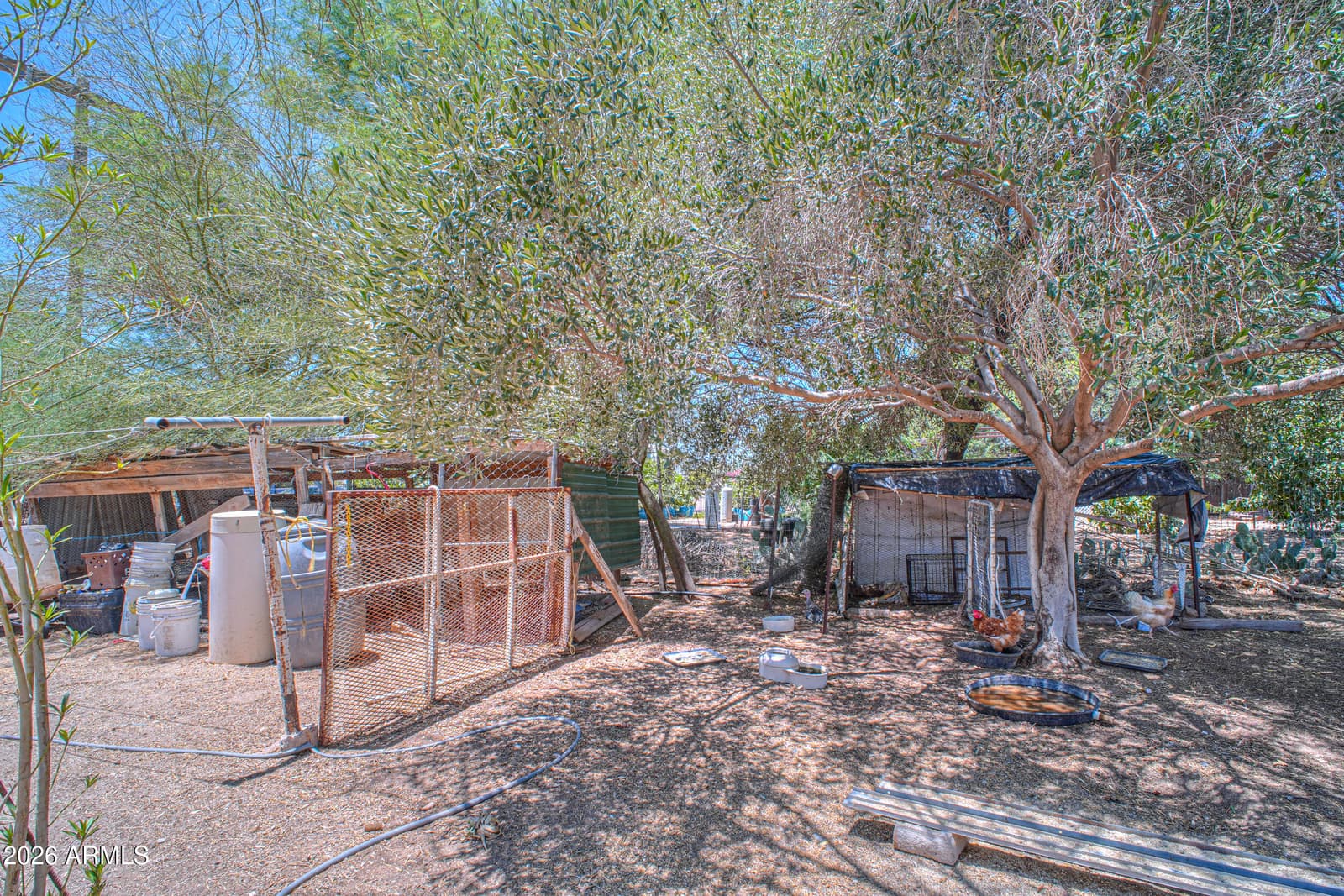 50740 W JULIE Lane, Maricopa, AZ 85139 — photo 15 of 57