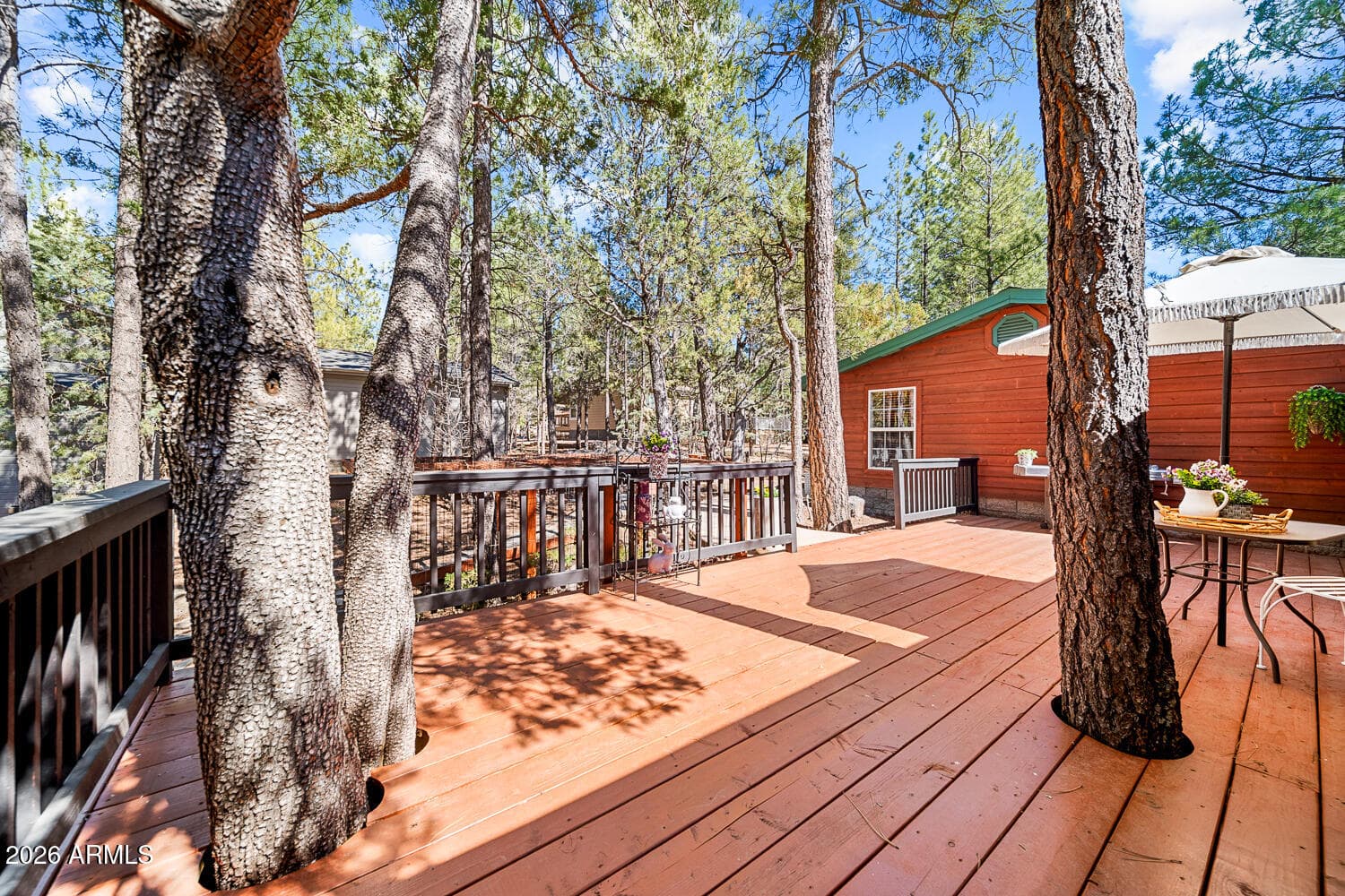 1181 S Cherokee Drive, Show Low, AZ 85901 — photo 3 of 53