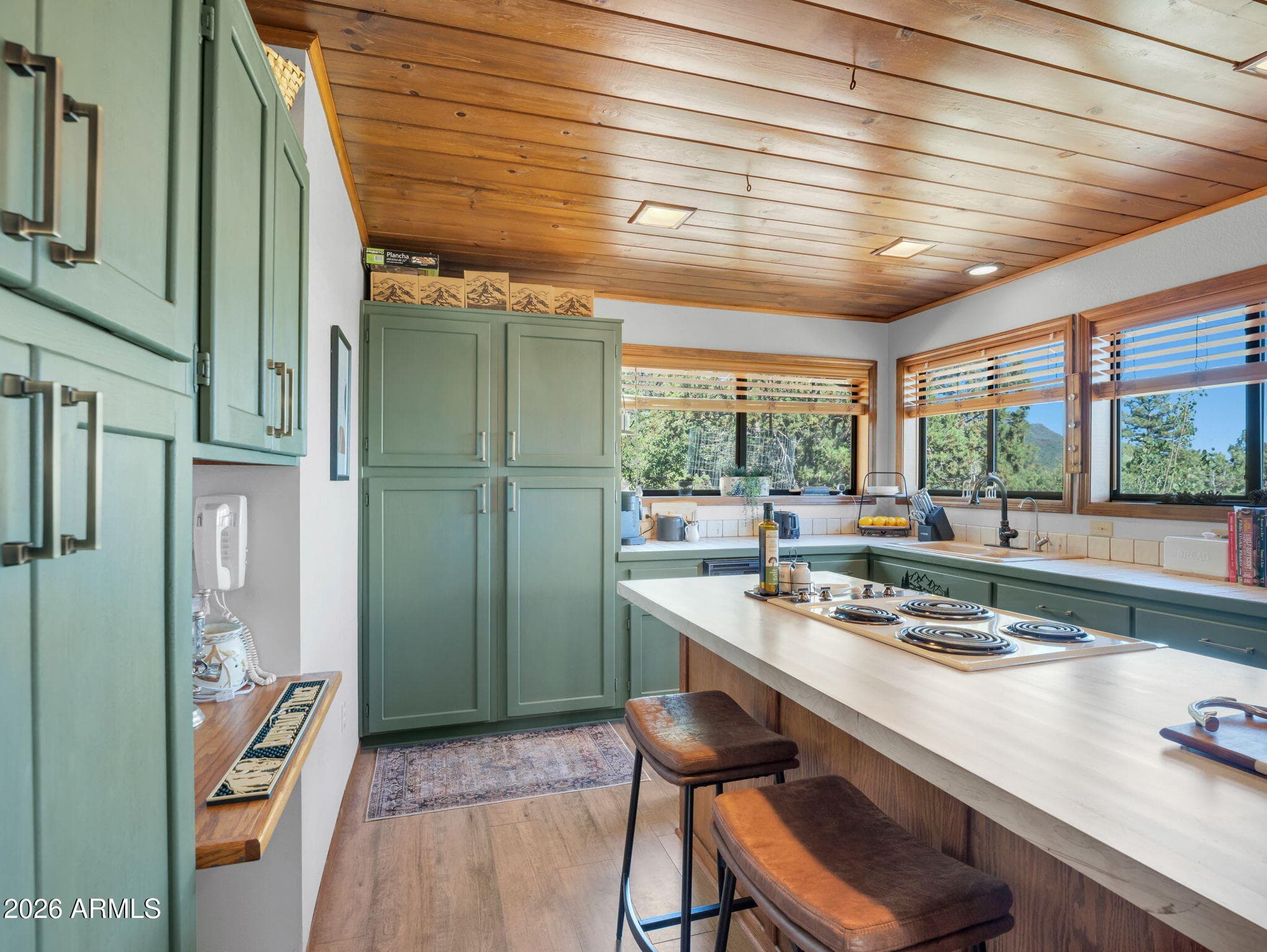 6227 W PINON Loop, Pine, AZ 85544 — photo 10 of 64