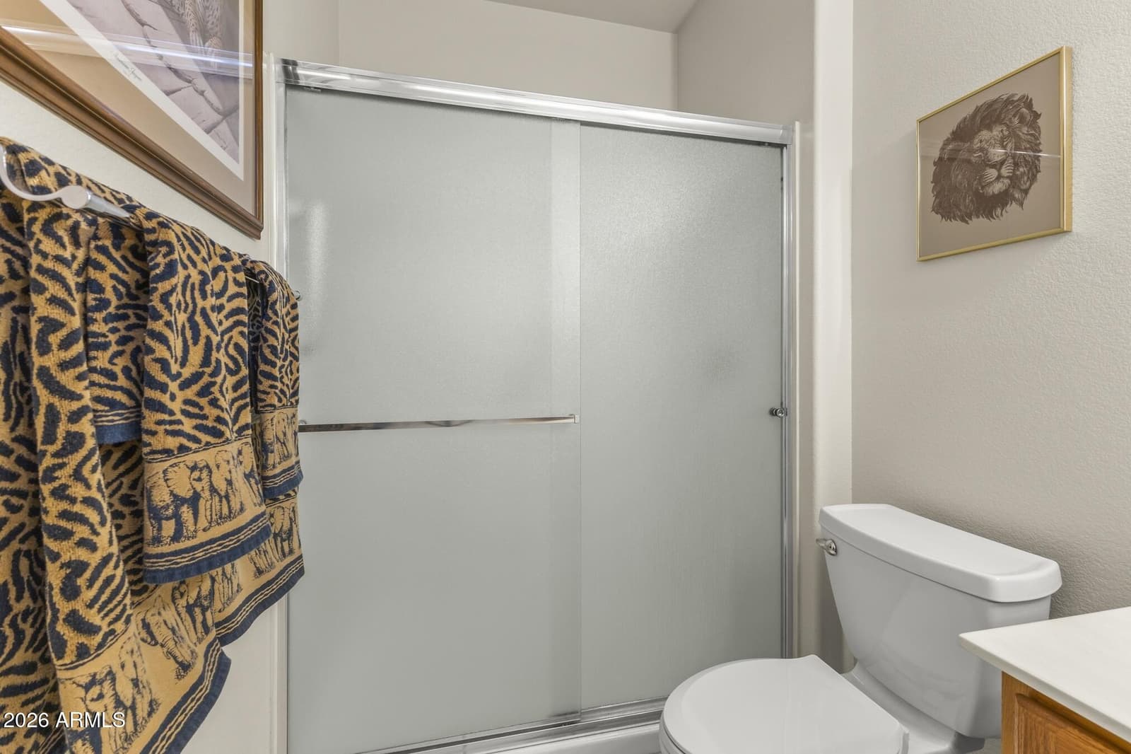 15905 W CLEAR CANYON Drive, Surprise, AZ 85374 — photo 38 of 52