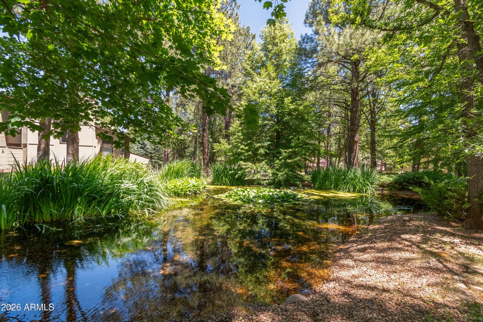 3744 CROWN DANCER Drive, Pinetop, AZ 85935 — photo 43 of 56