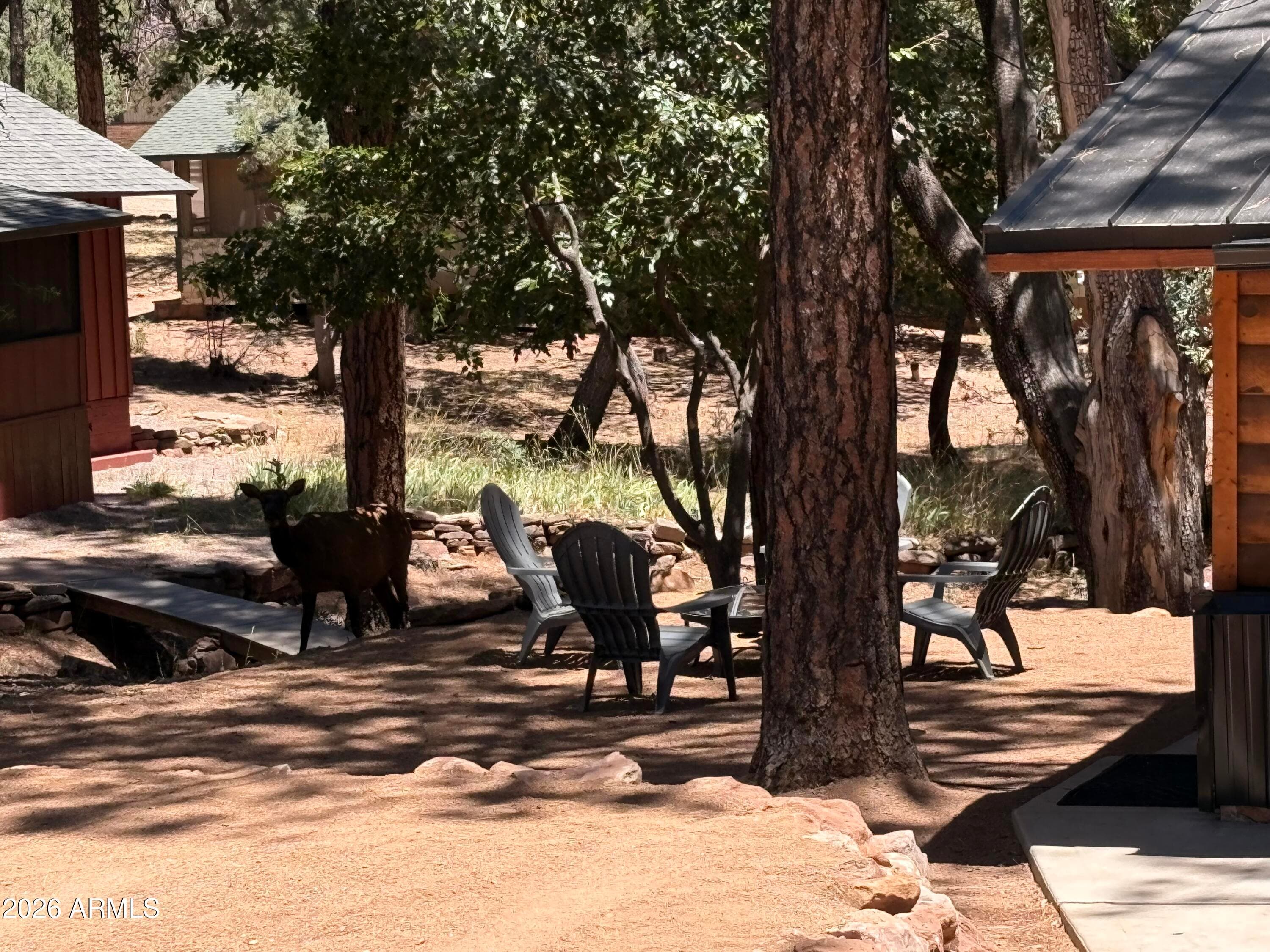 4141 N Wilbur Avenue, Pine, AZ 85544 — photo 6 of 30