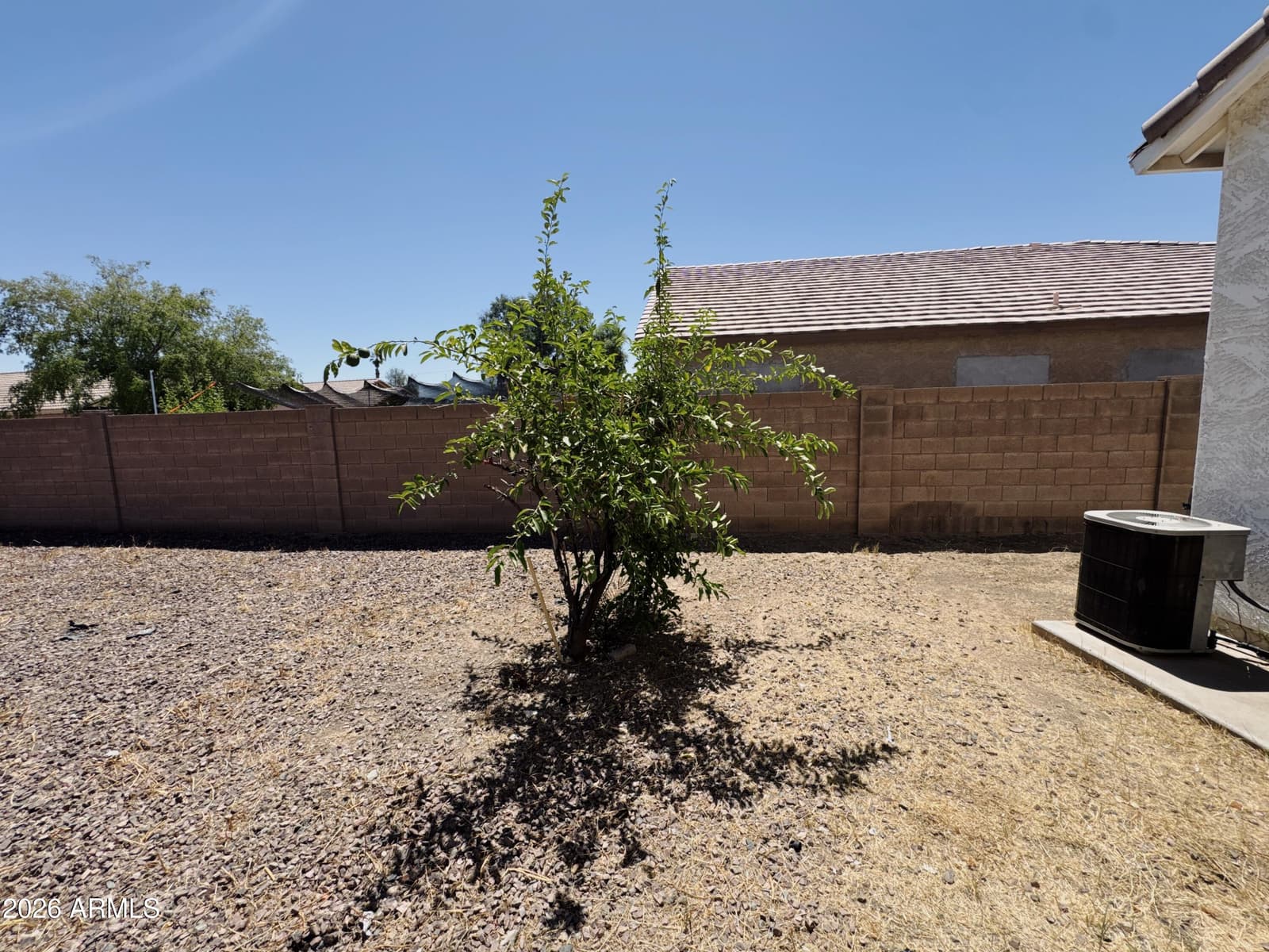 12906 W ASH Street, El Mirage, AZ 85335 — photo 18 of 24
